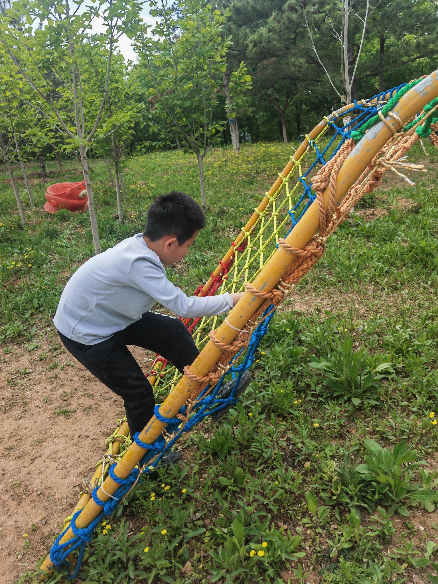 千青爱草仙龙园旅行图片 3