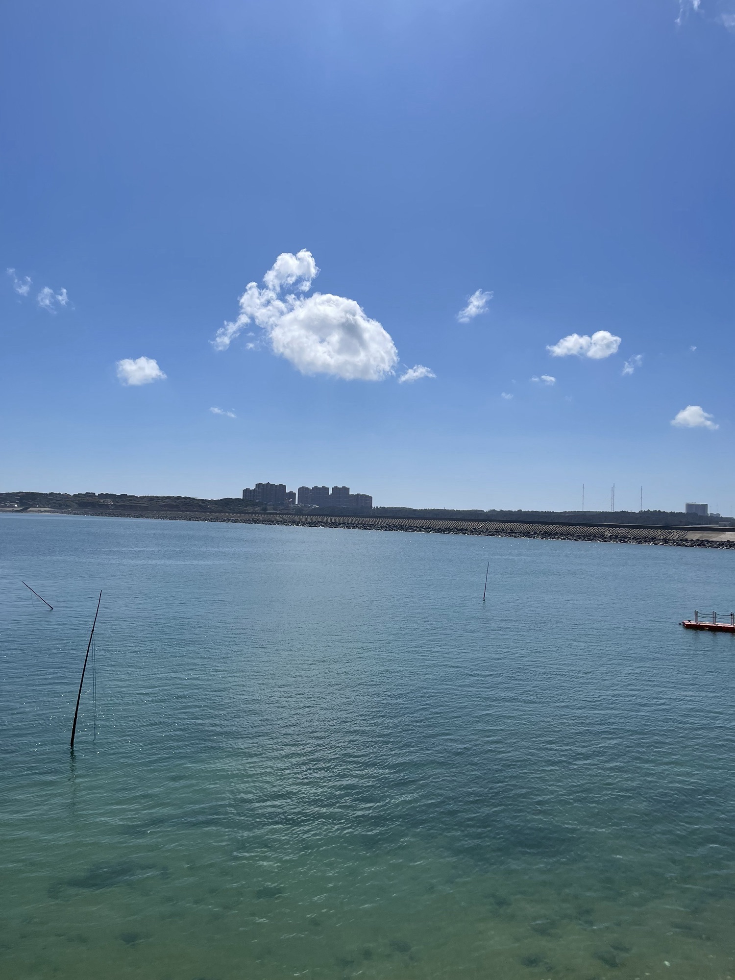 蓝眼泪观景点(流水镇文创村海滩)旅行图片 3