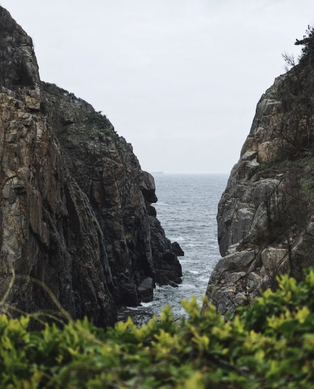 蓝眼泪观景点(流水镇文创村海滩)旅行图片 2