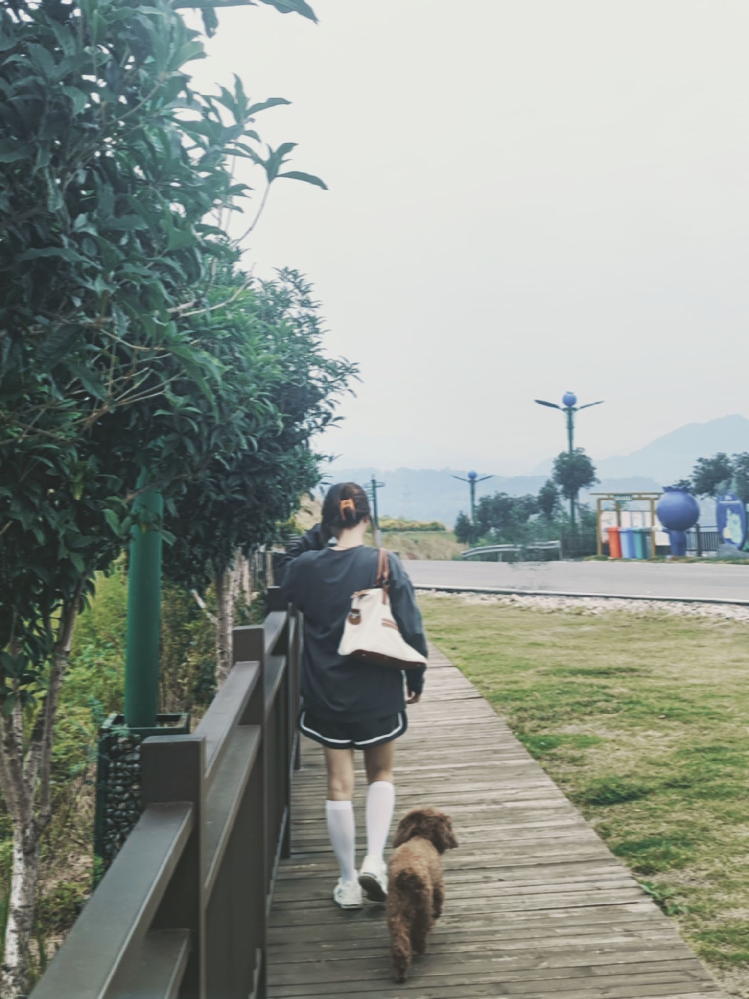 秦巴蓝莓主题公园旅行图片 1