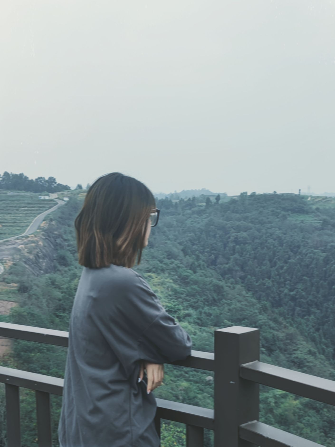 秦巴蓝莓主题公园旅行图片 2