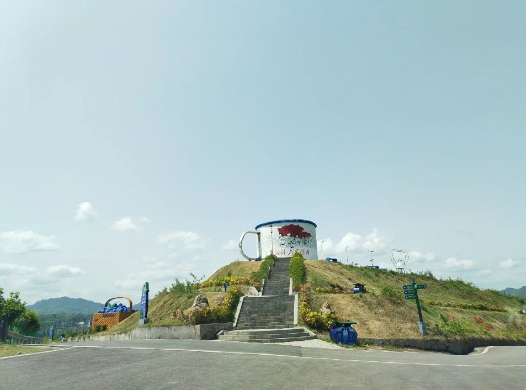 秦巴蓝莓主题公园旅行图片 3