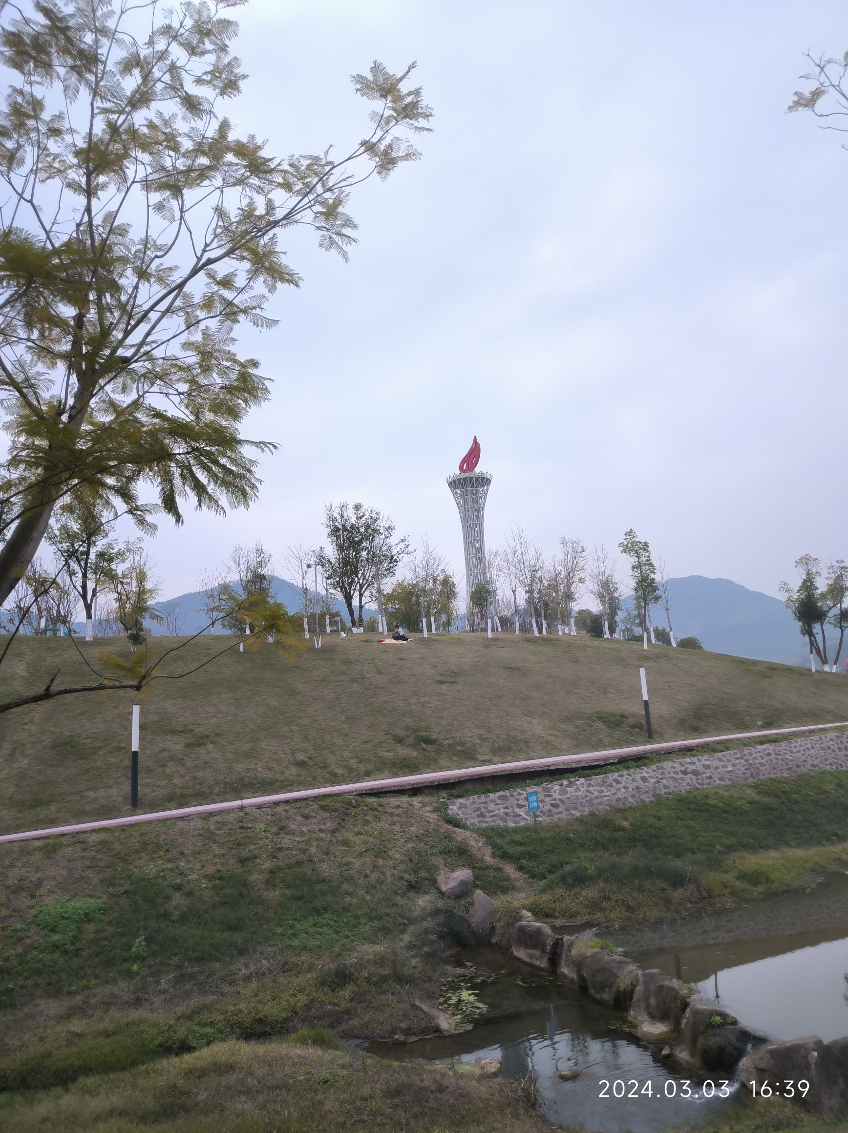青凤湿地公园旅行图片 1