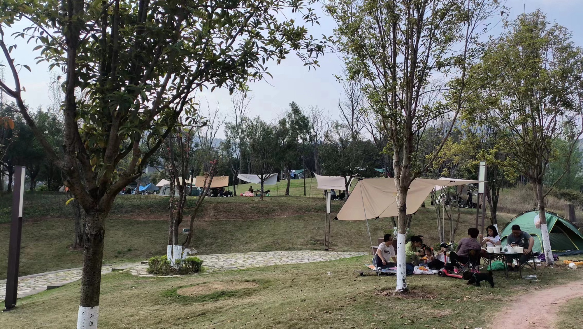 青凤湿地公园旅行图片 3