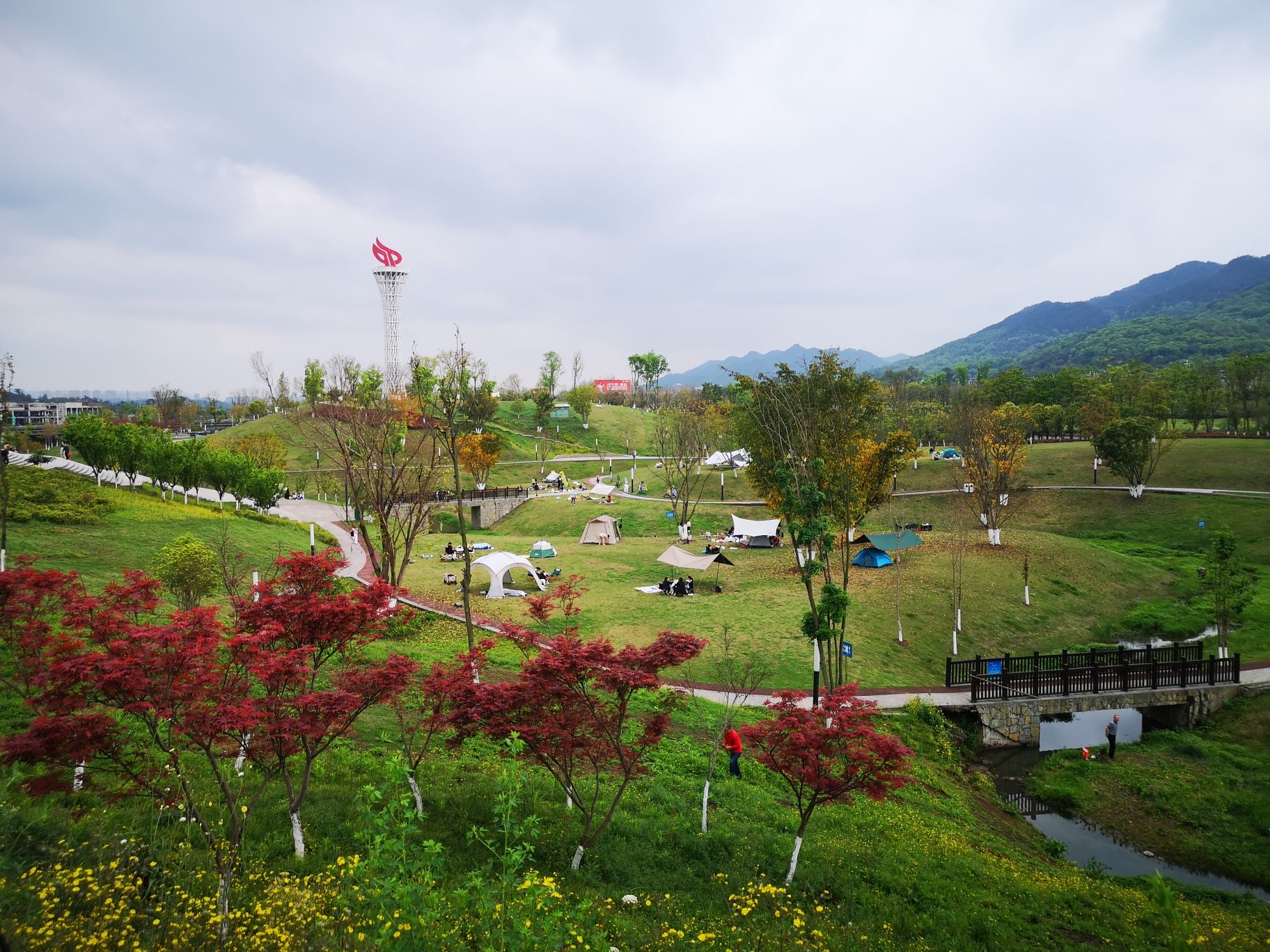 青凤湿地公园旅行图片 1