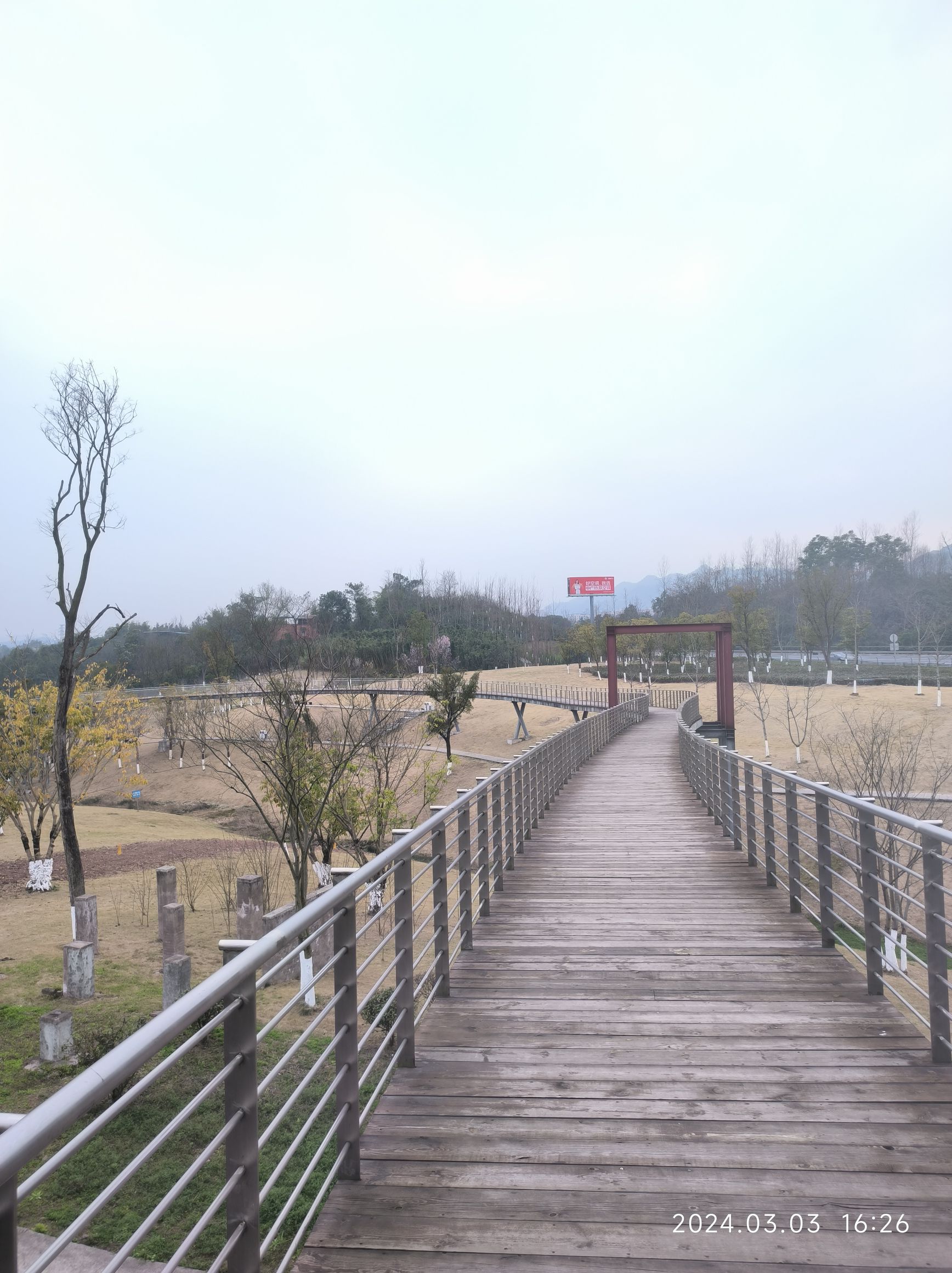 青凤湿地公园旅行图片 2