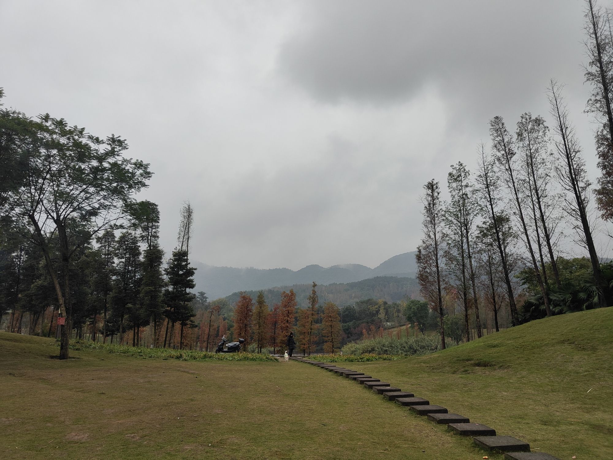青凤湿地公园旅行图片 1