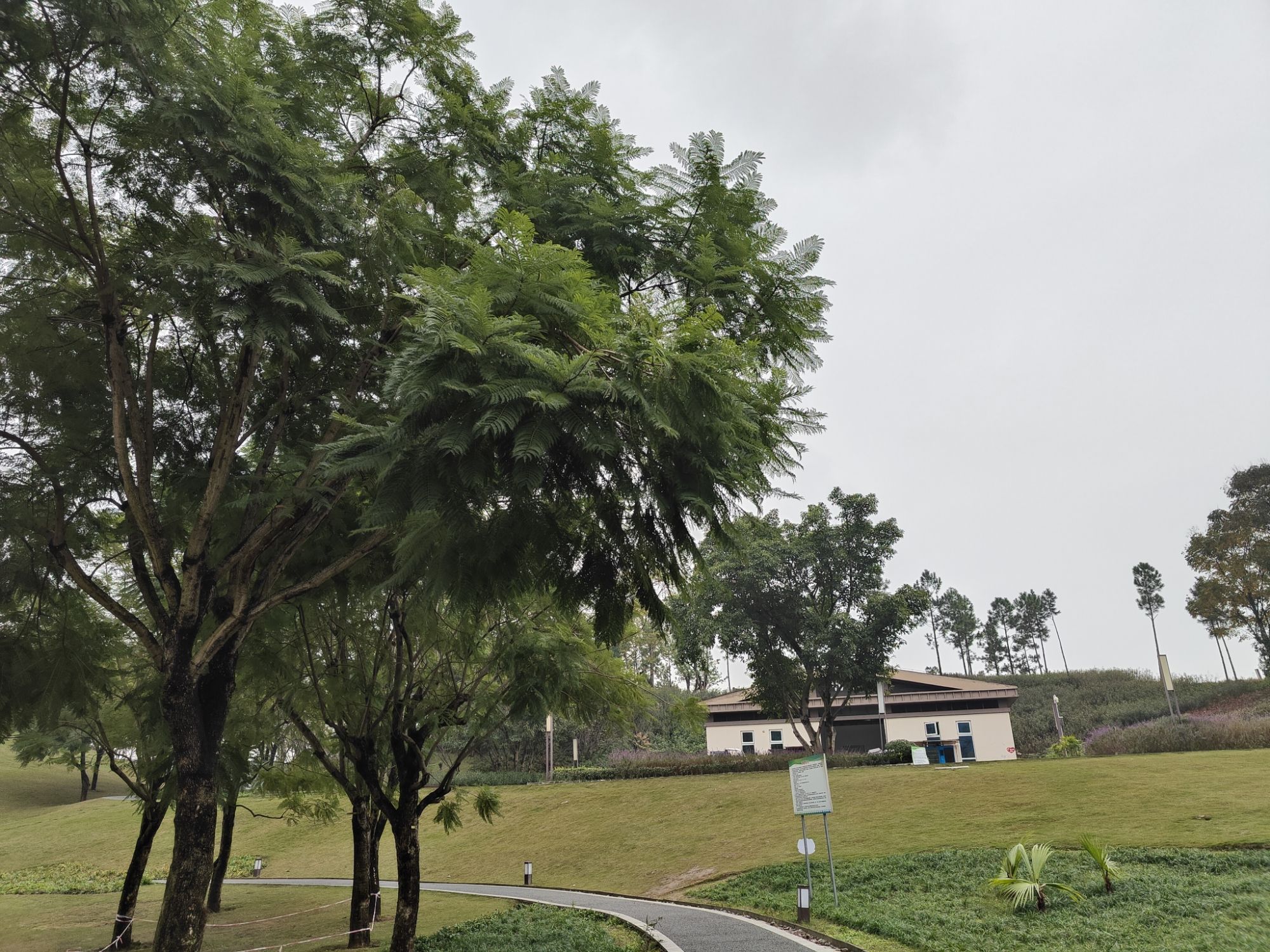 青凤湿地公园旅行图片 3