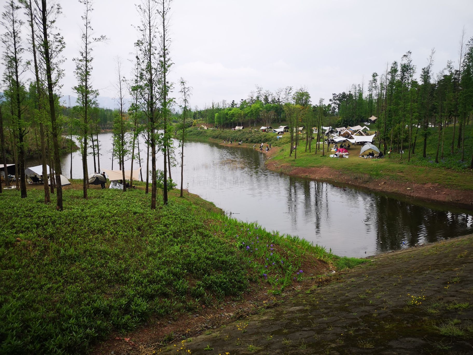 青凤湿地公园旅行图片 2