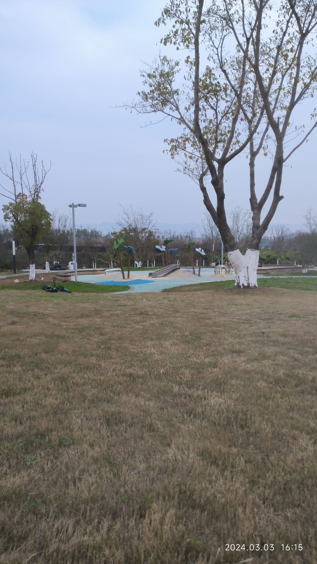 青凤湿地公园旅行图片 3