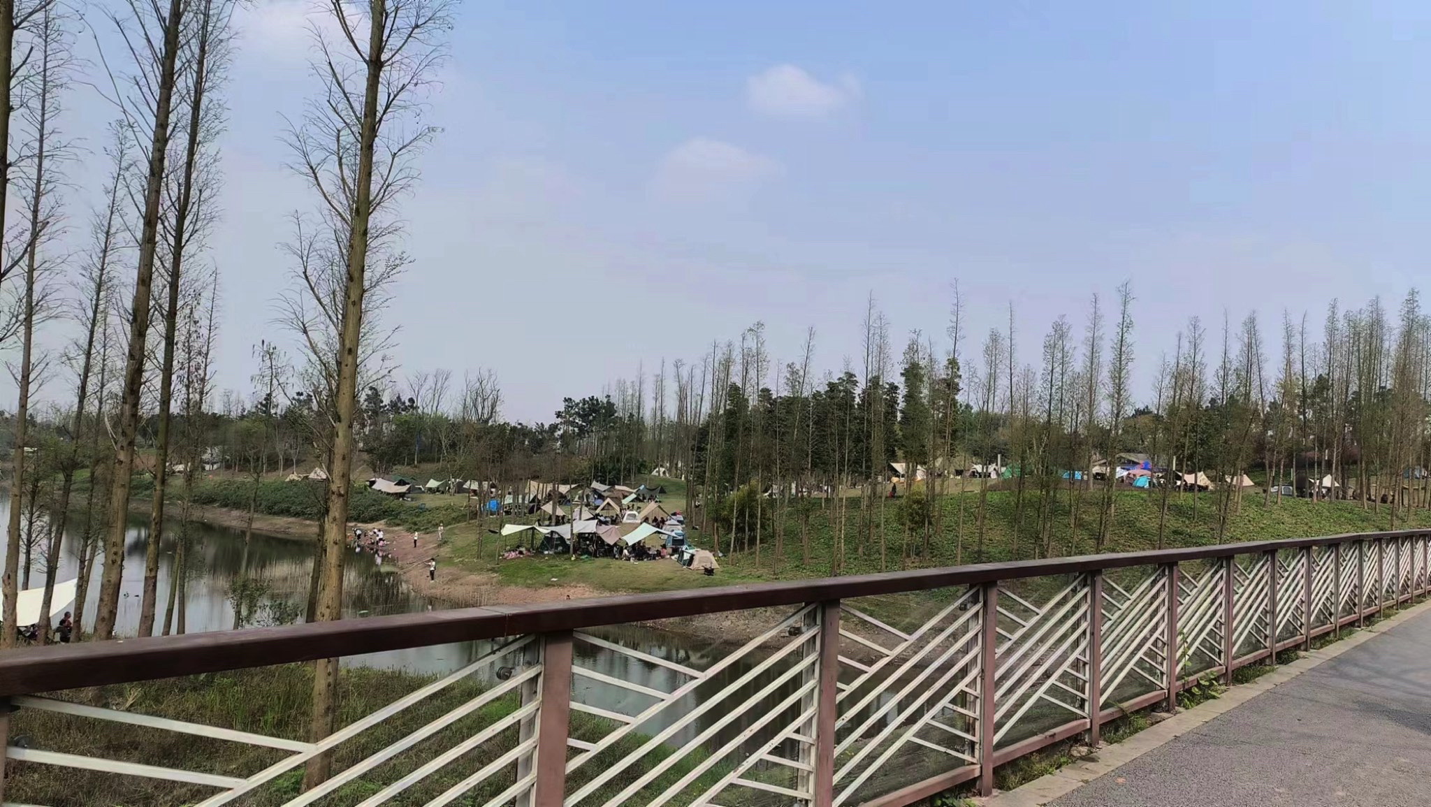 青凤湿地公园旅行图片 1