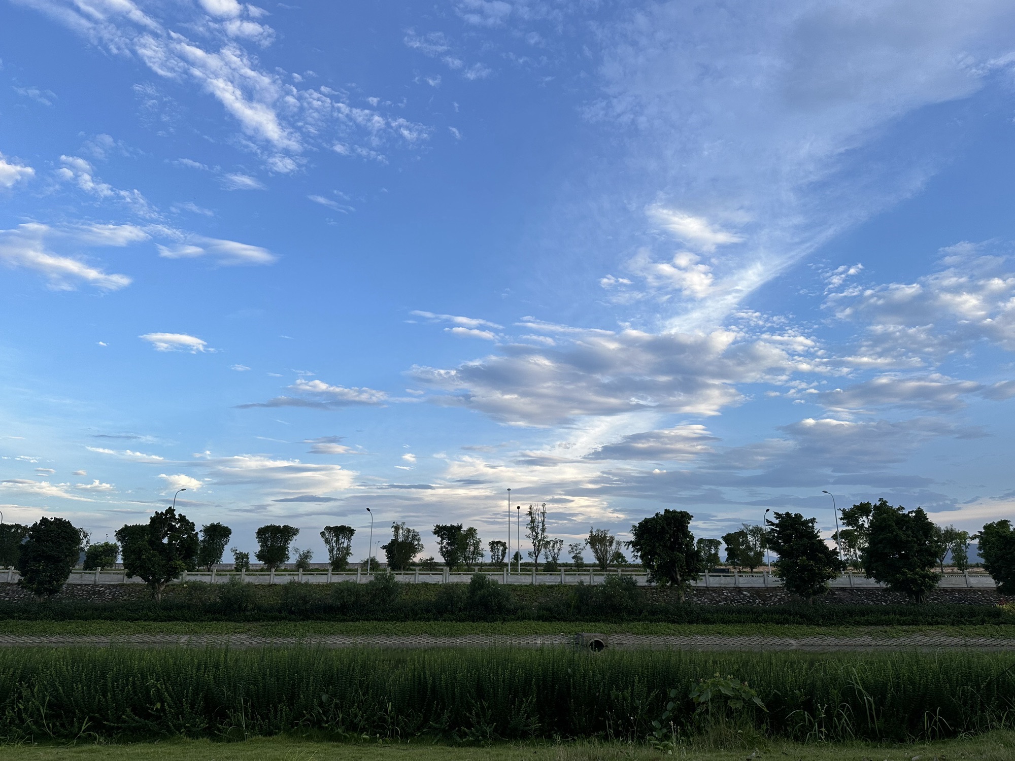 三屿湿地公园旅行图片 1