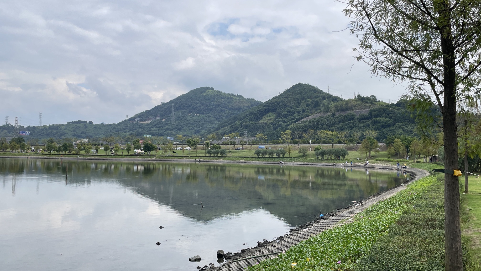 三屿湿地公园旅行图片 3