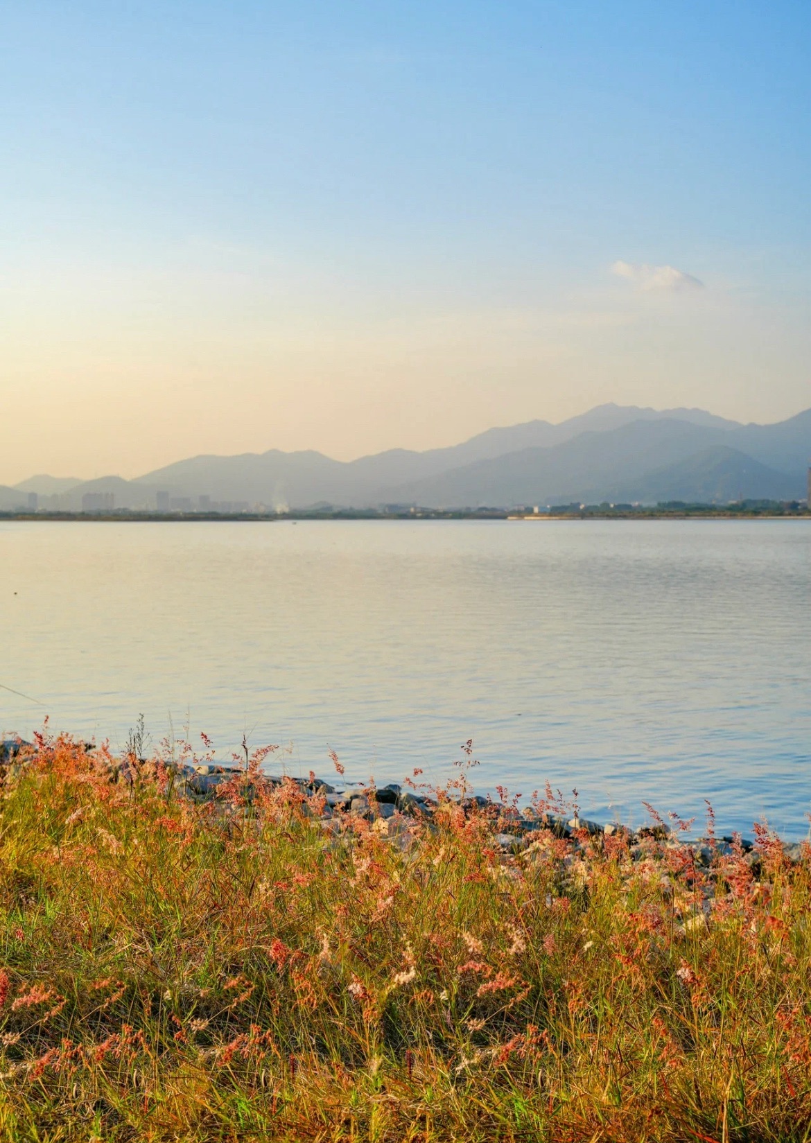 三屿湿地公园