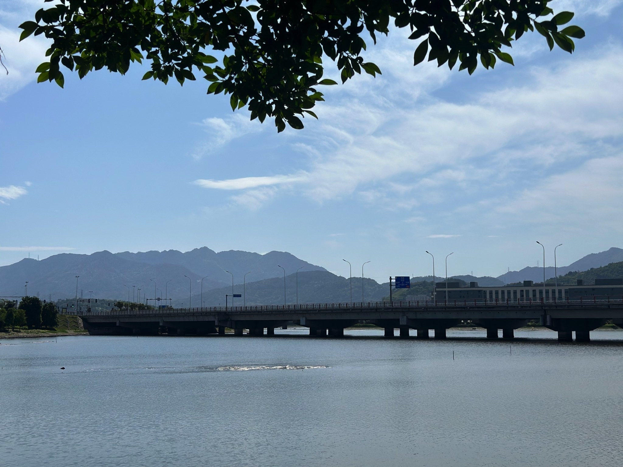 三屿湿地公园旅行图片 1