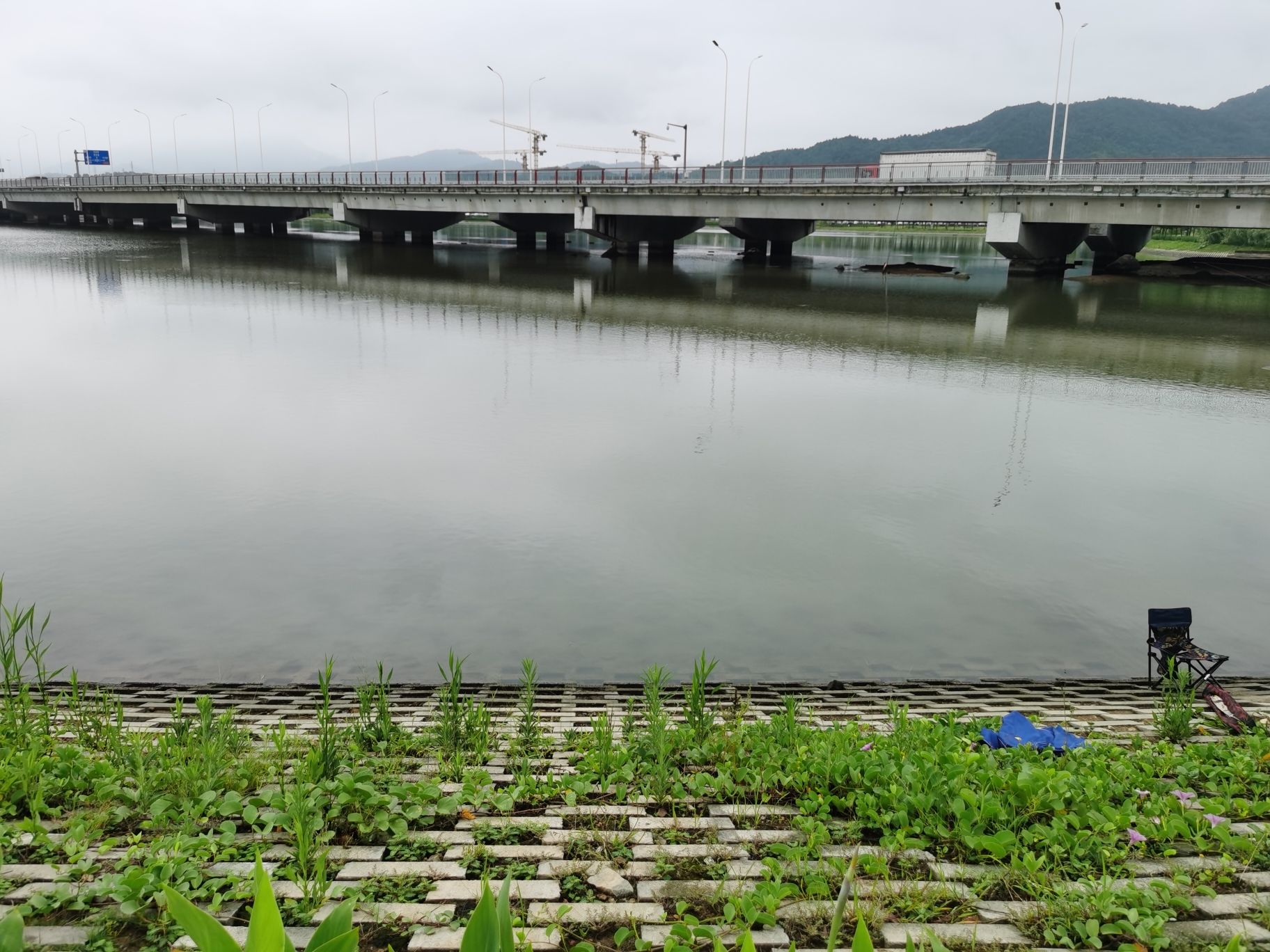 三屿湿地公园旅行图片 3