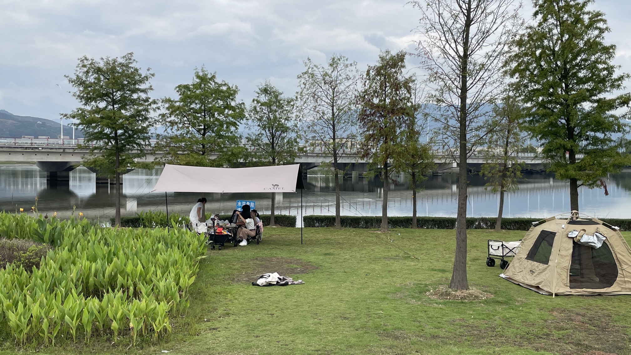 三屿湿地公园旅行图片 1