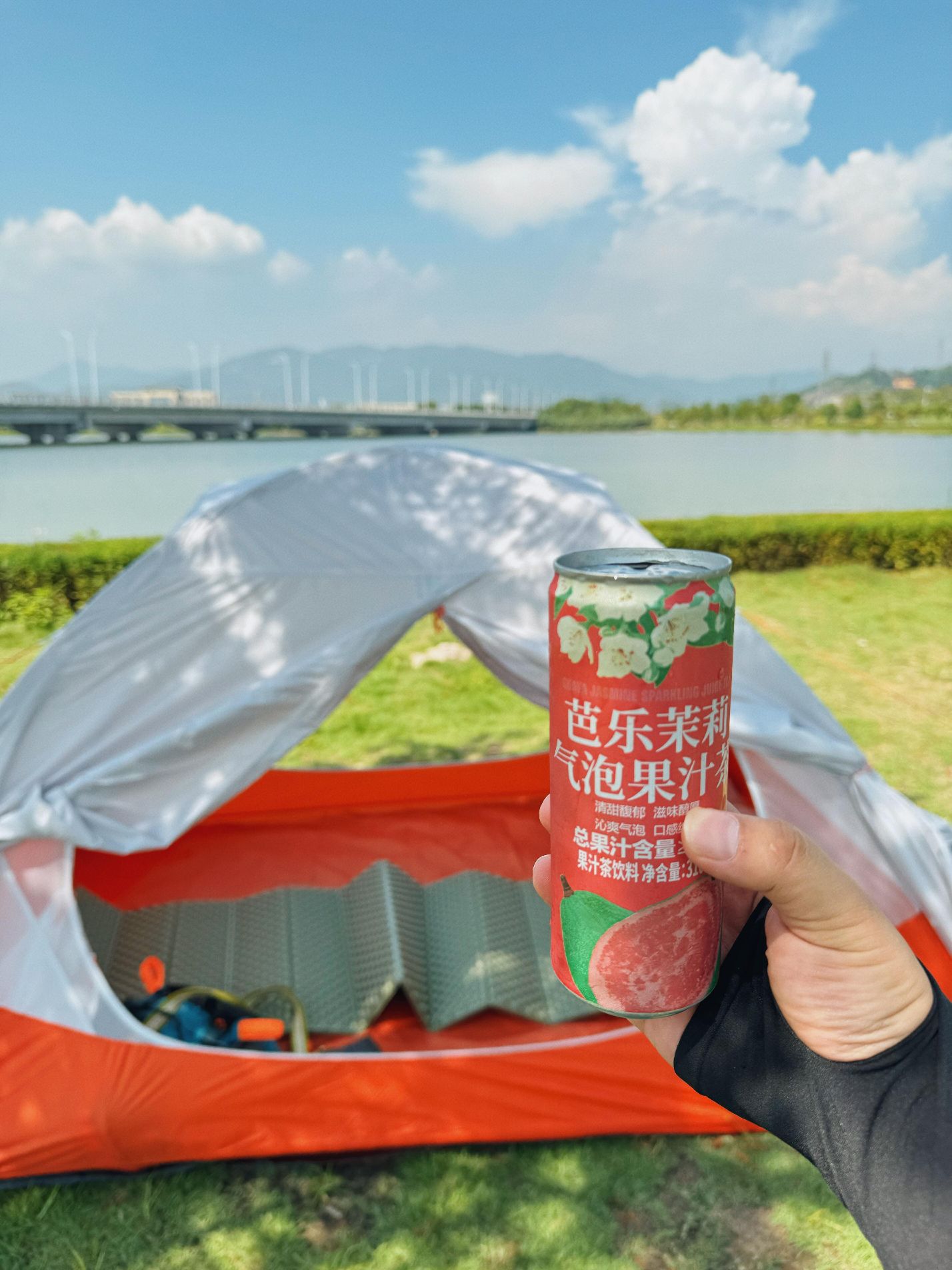 三屿湿地公园旅行图片 2