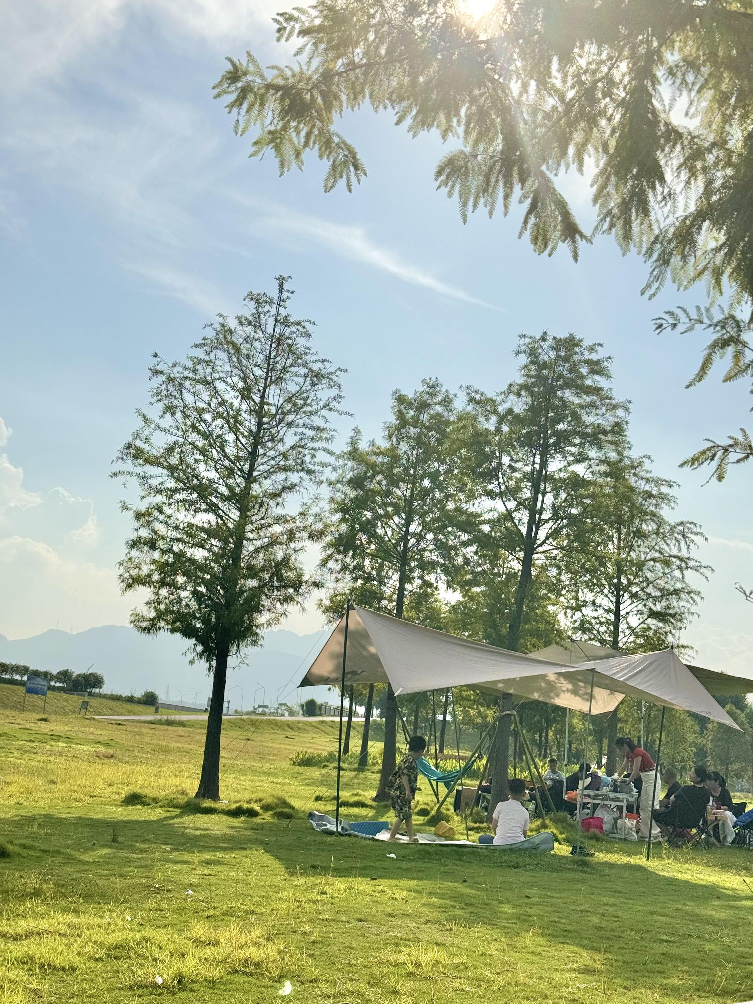 三屿湿地公园旅行图片 1