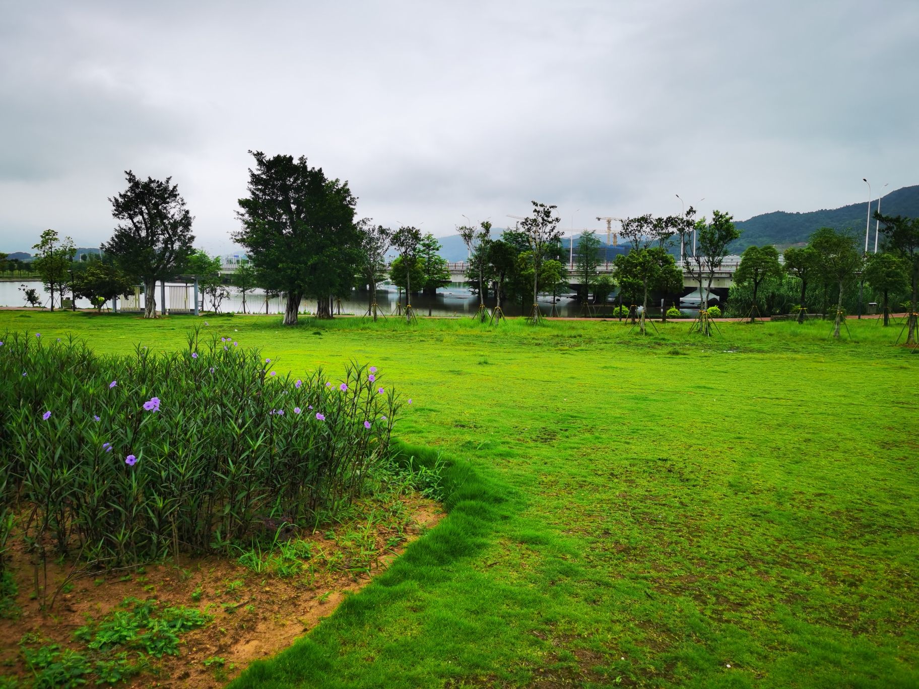 三屿湿地公园旅行图片 1