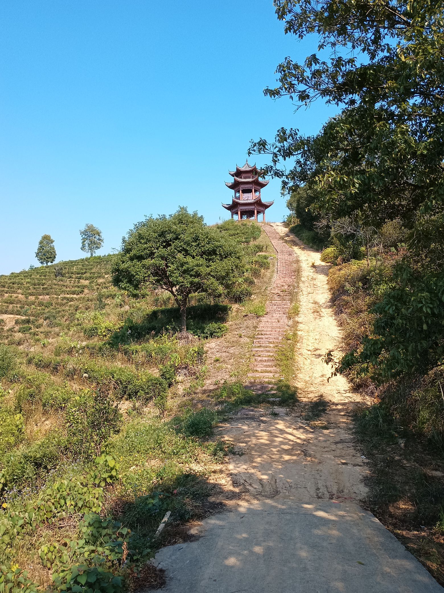 鱼鳞坝旅行图片 2