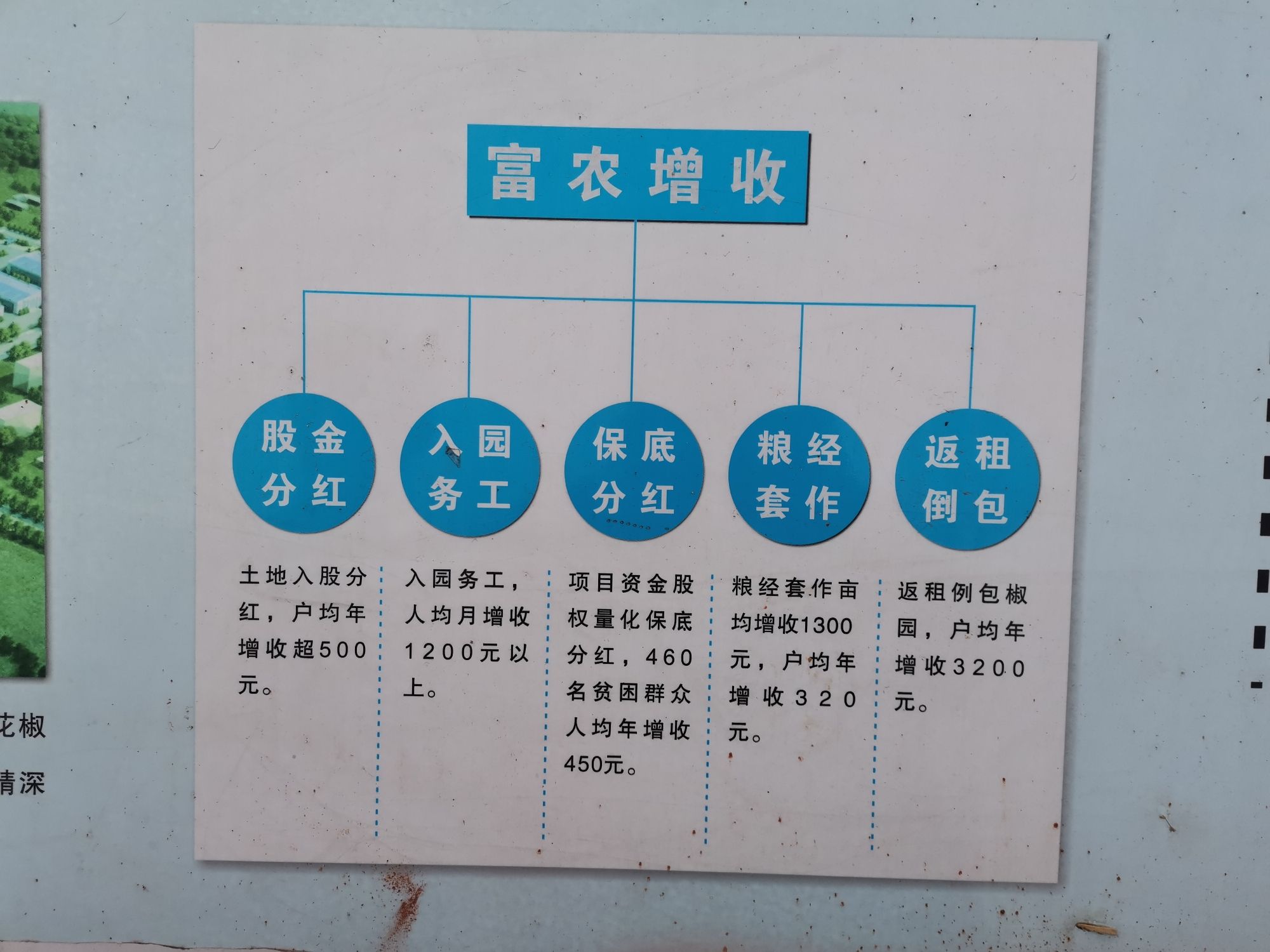双胜花椒博览园旅行图片 2