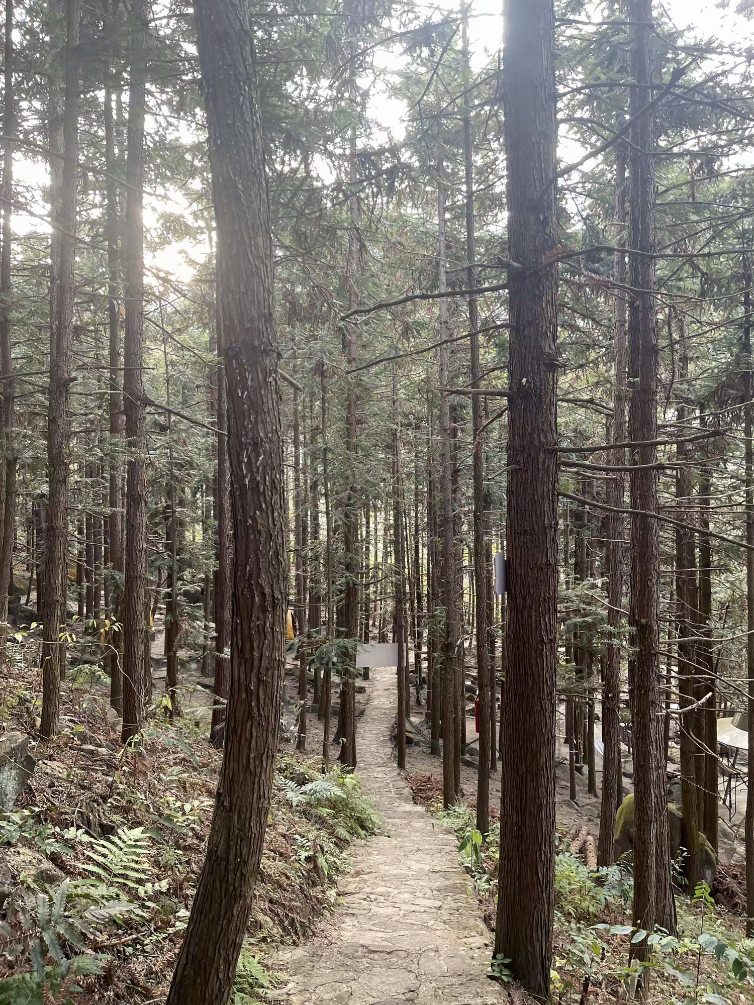 皇后山生态旅游度假区旅行图片 3