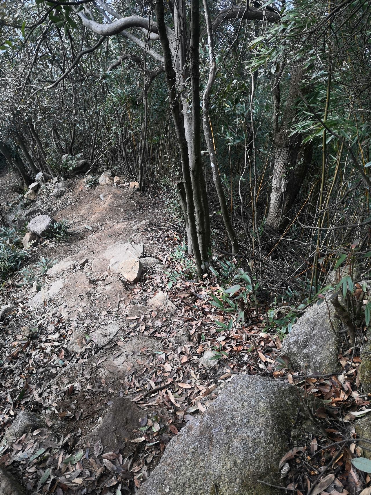 皇后山生态旅游度假区旅行图片 2