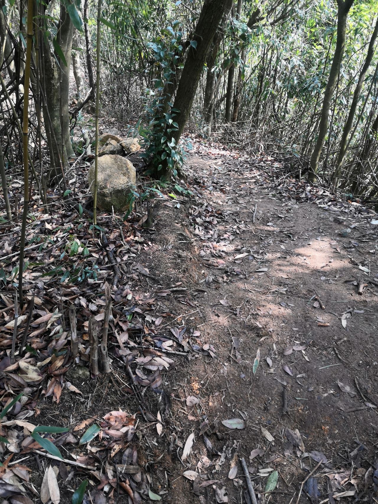 皇后山生态旅游度假区旅行图片 3