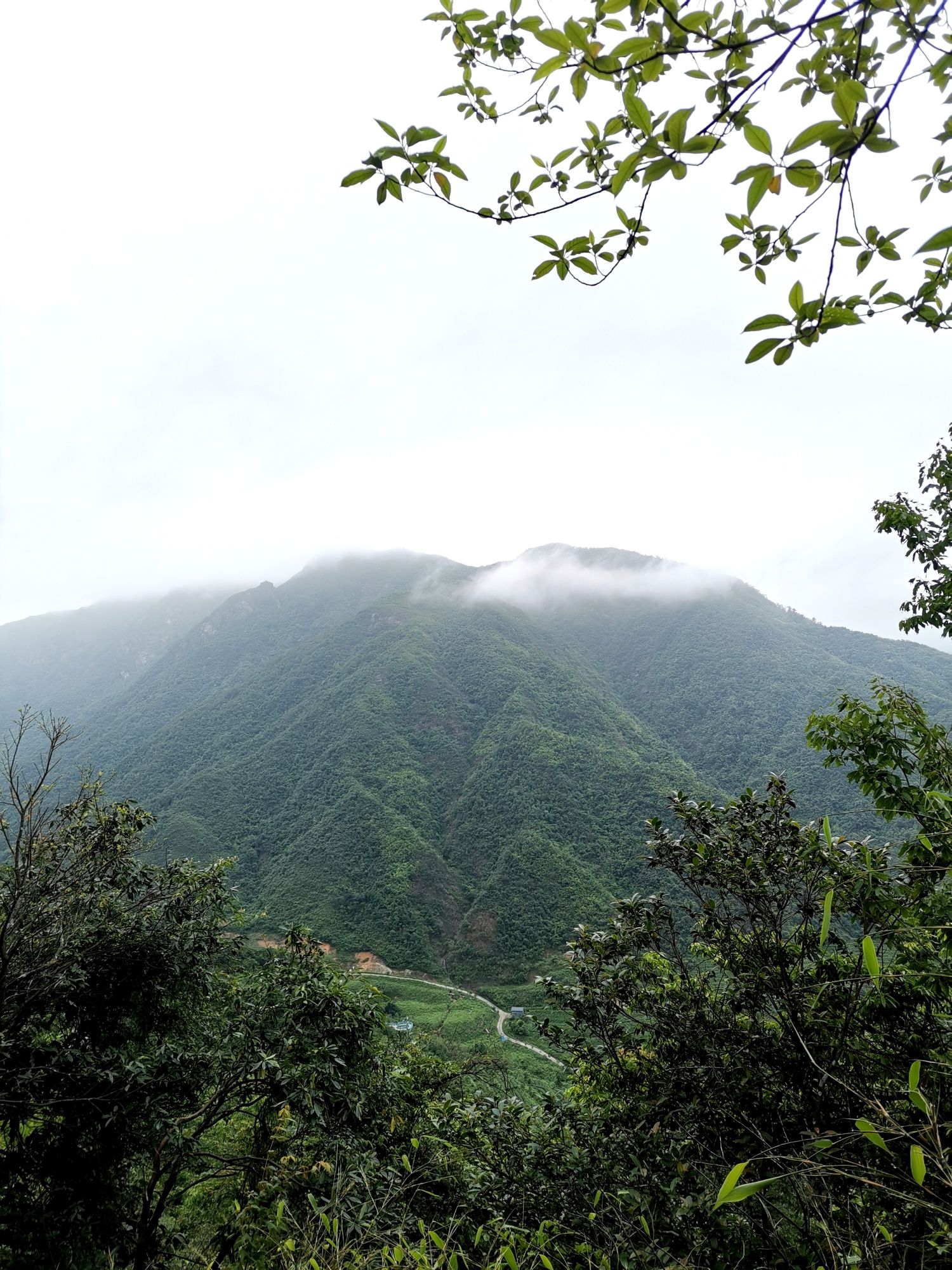 皇后山生态旅游度假区旅行图片 3