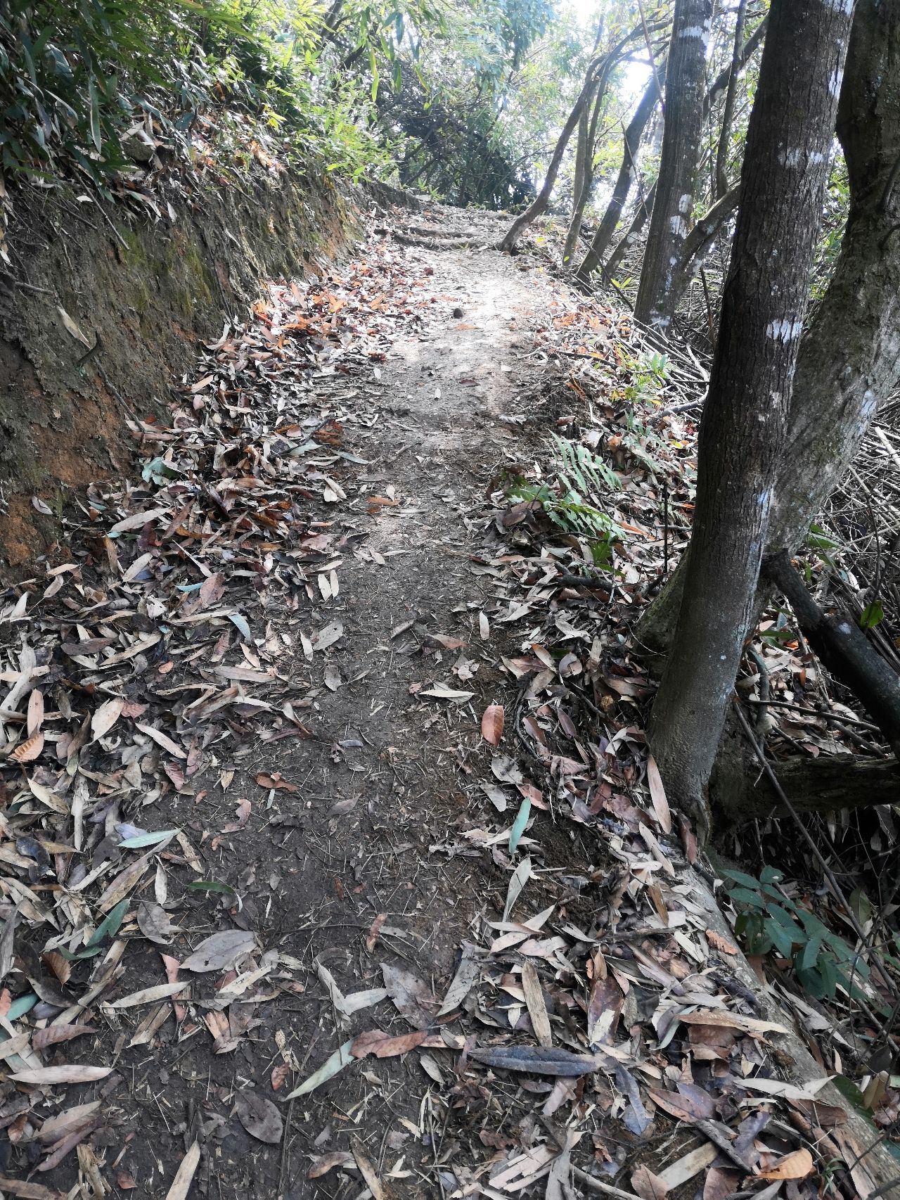 皇后山生态旅游度假区旅行图片 1