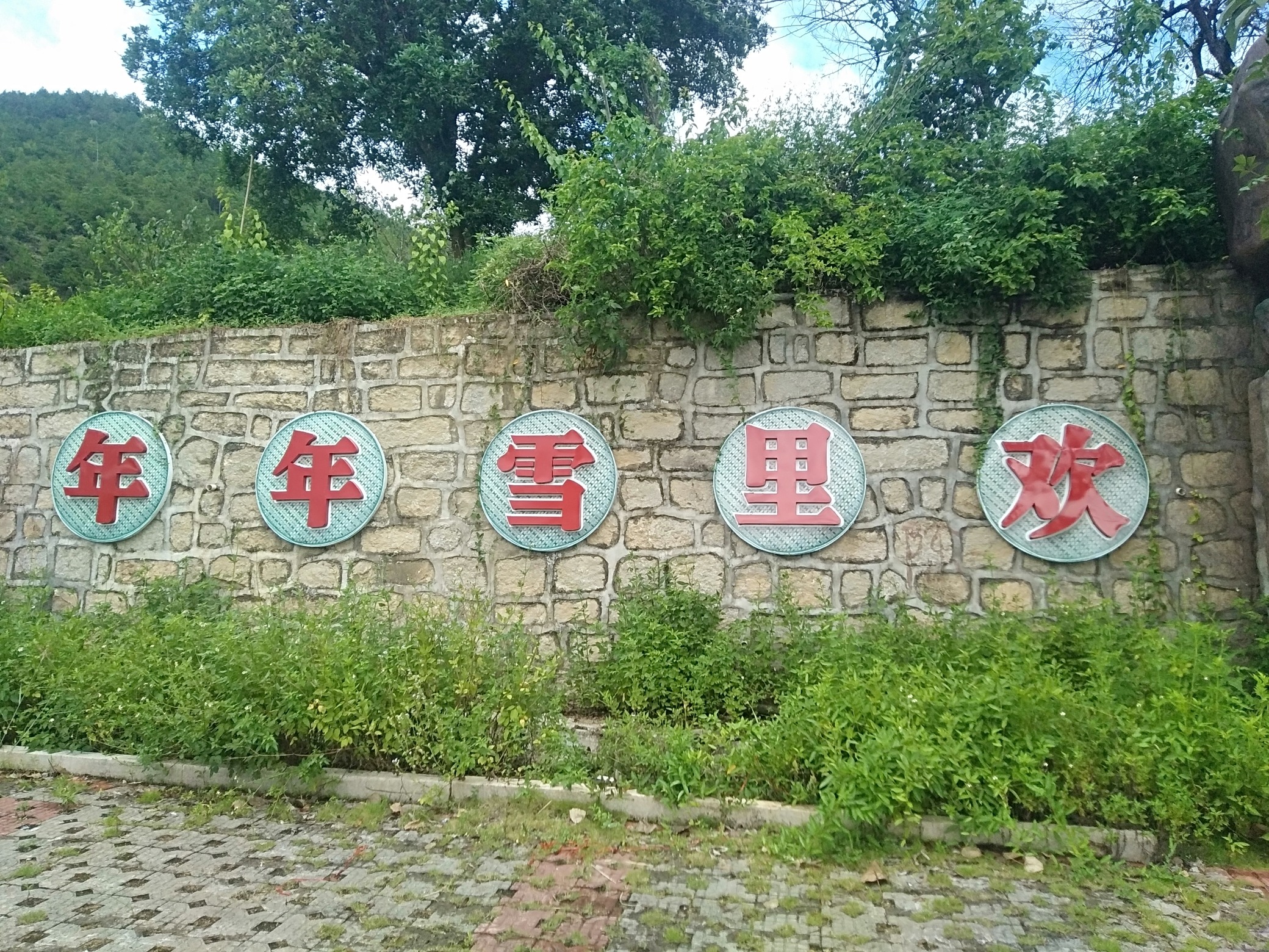 诏安水寨瀑布旅行图片 3