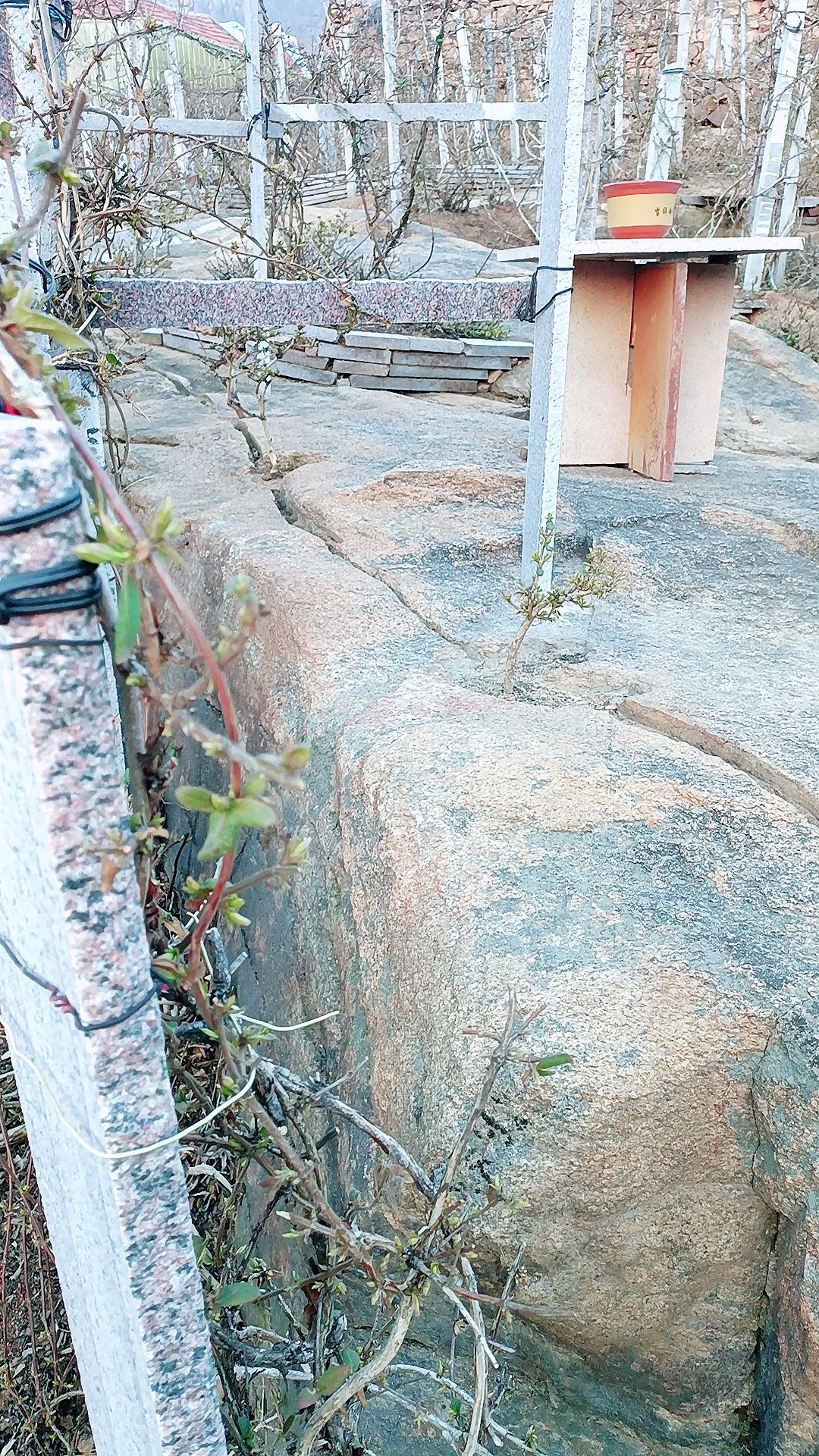 欢山子北花一号风景旅游区旅行图片 1