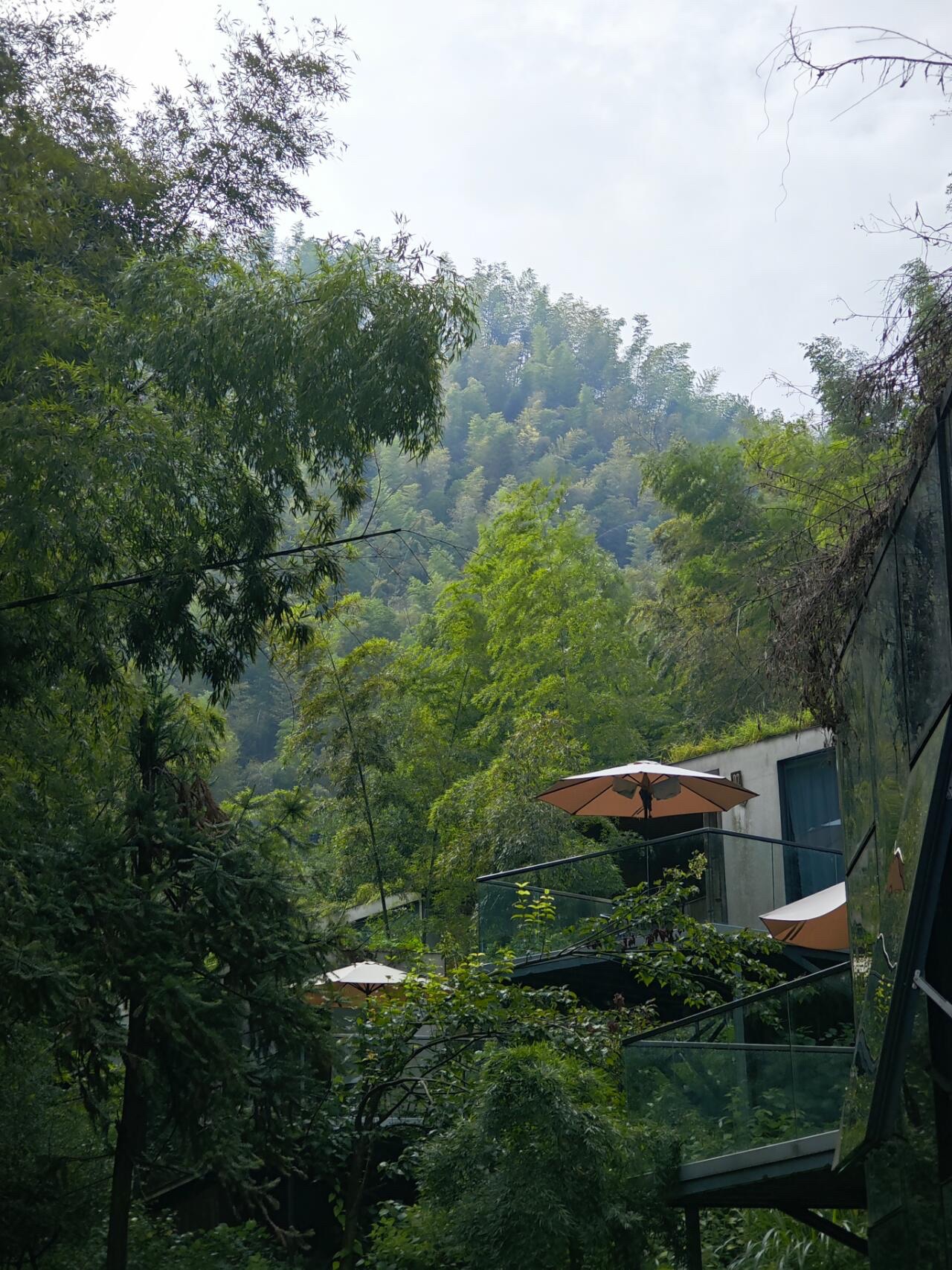 芦头境谷旅游景区旅行图片 1