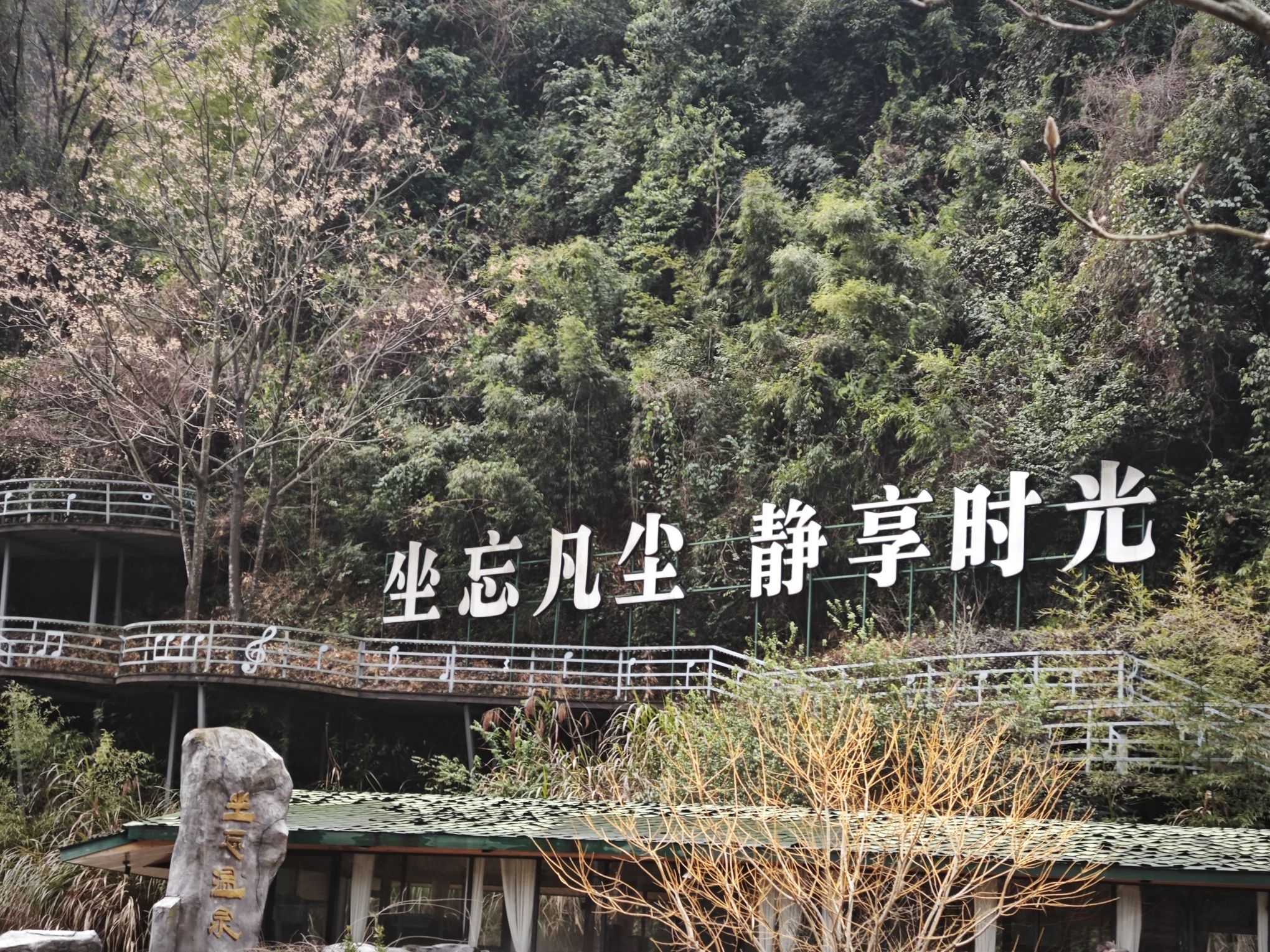 丽水坐忘谷景区