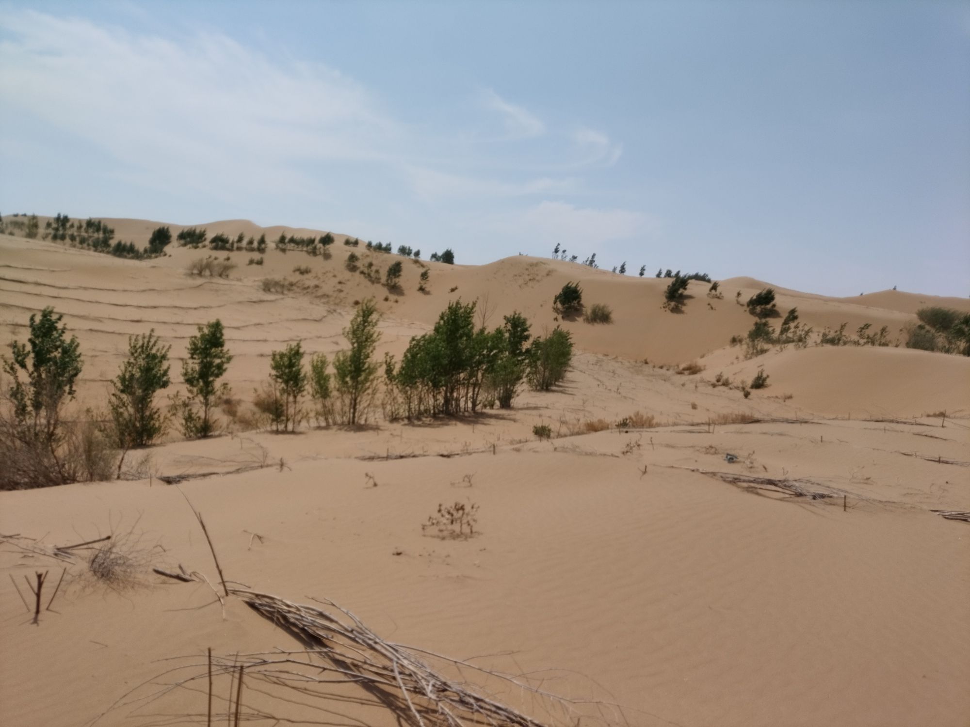 丁红湾景区旅行图片 2