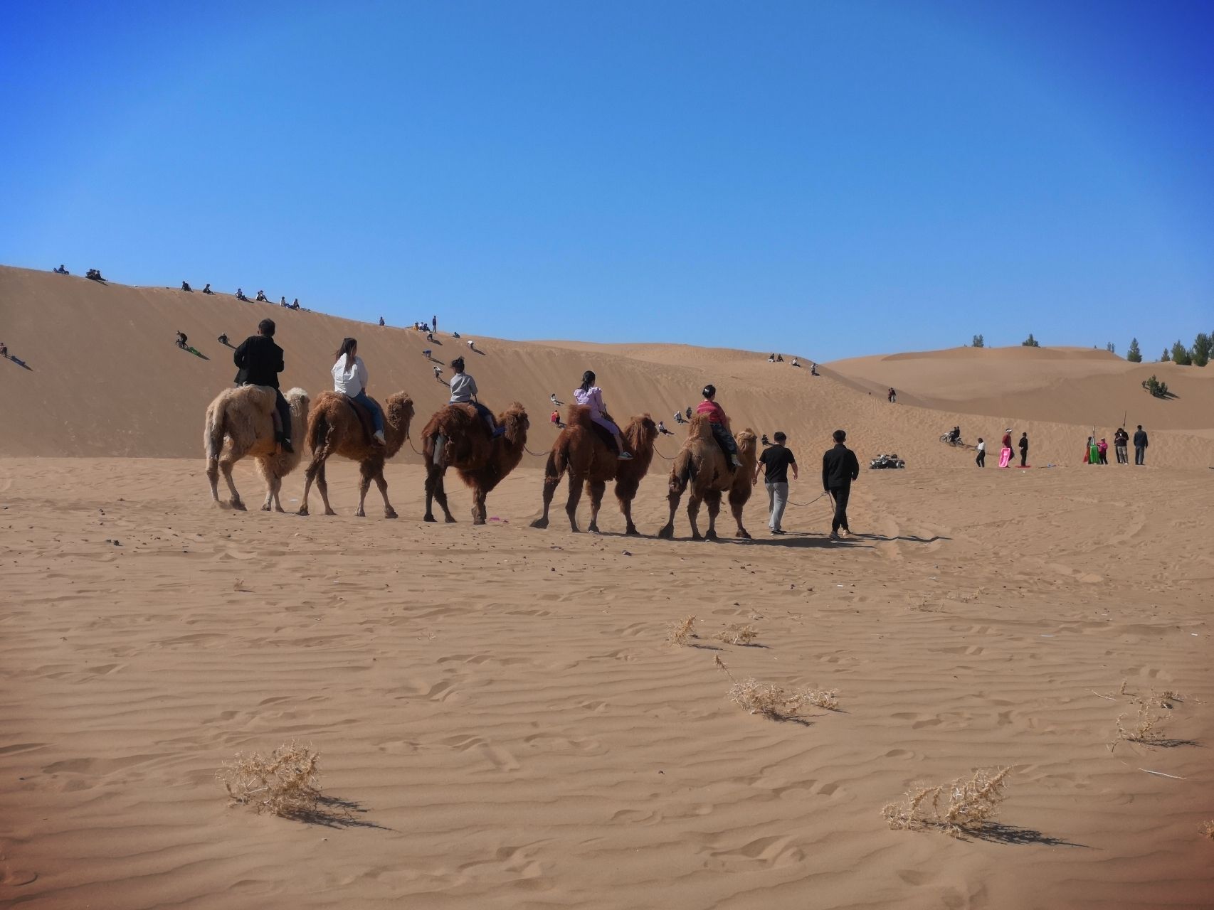 丁红湾景区旅行图片 1