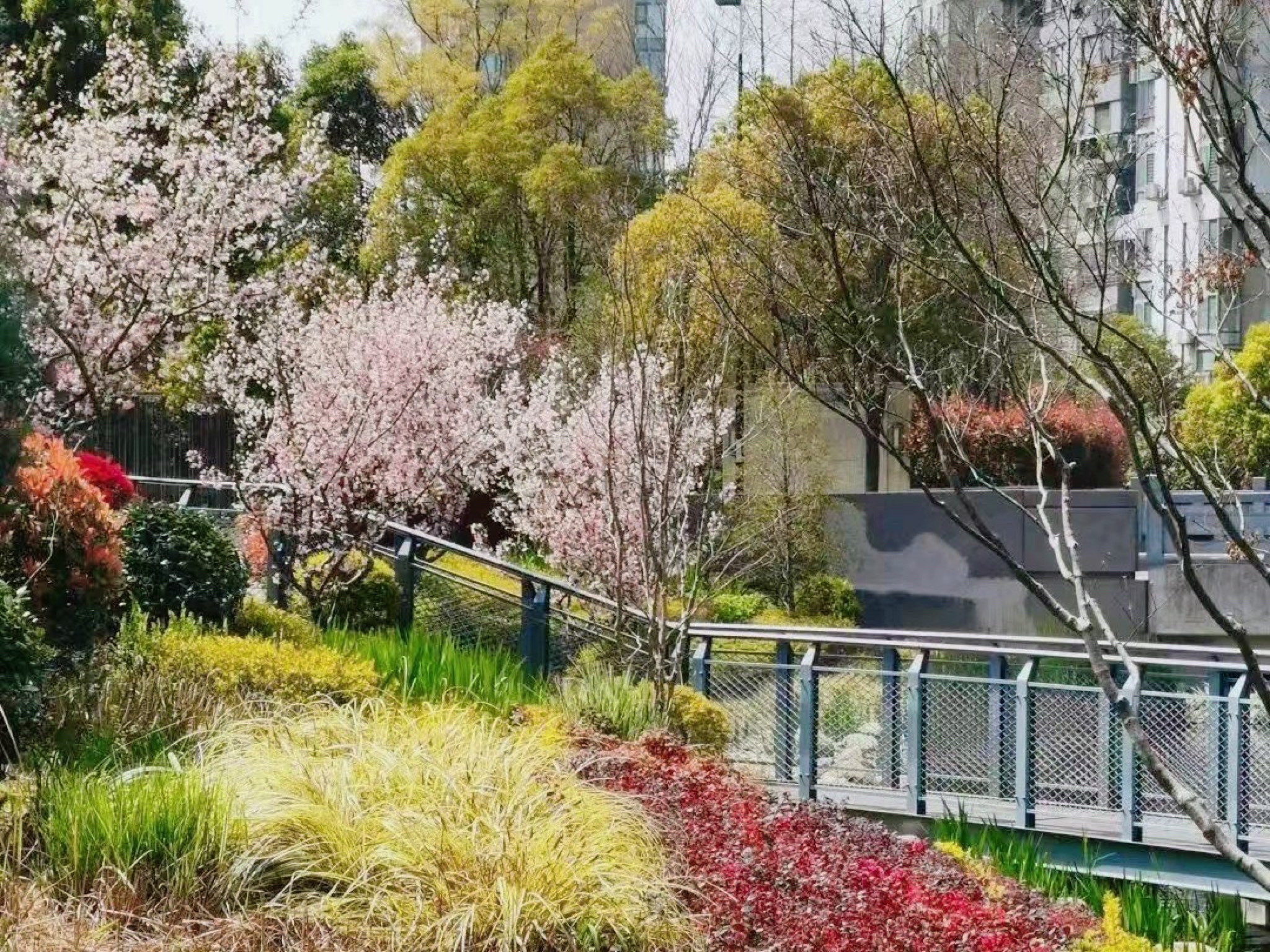 大宁四方公园旅行图片 2
