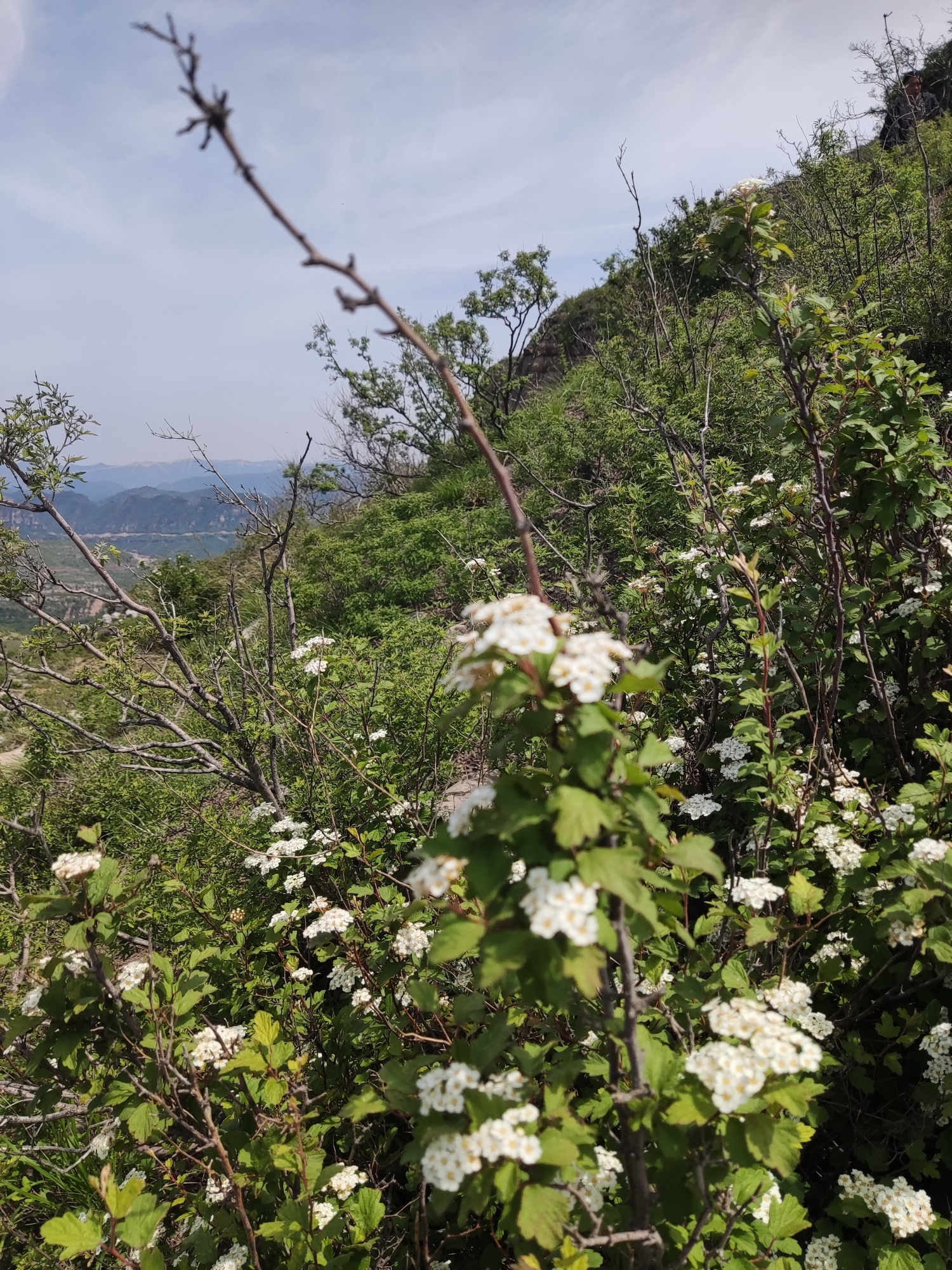 淇县油城火焰山旅行图片 3