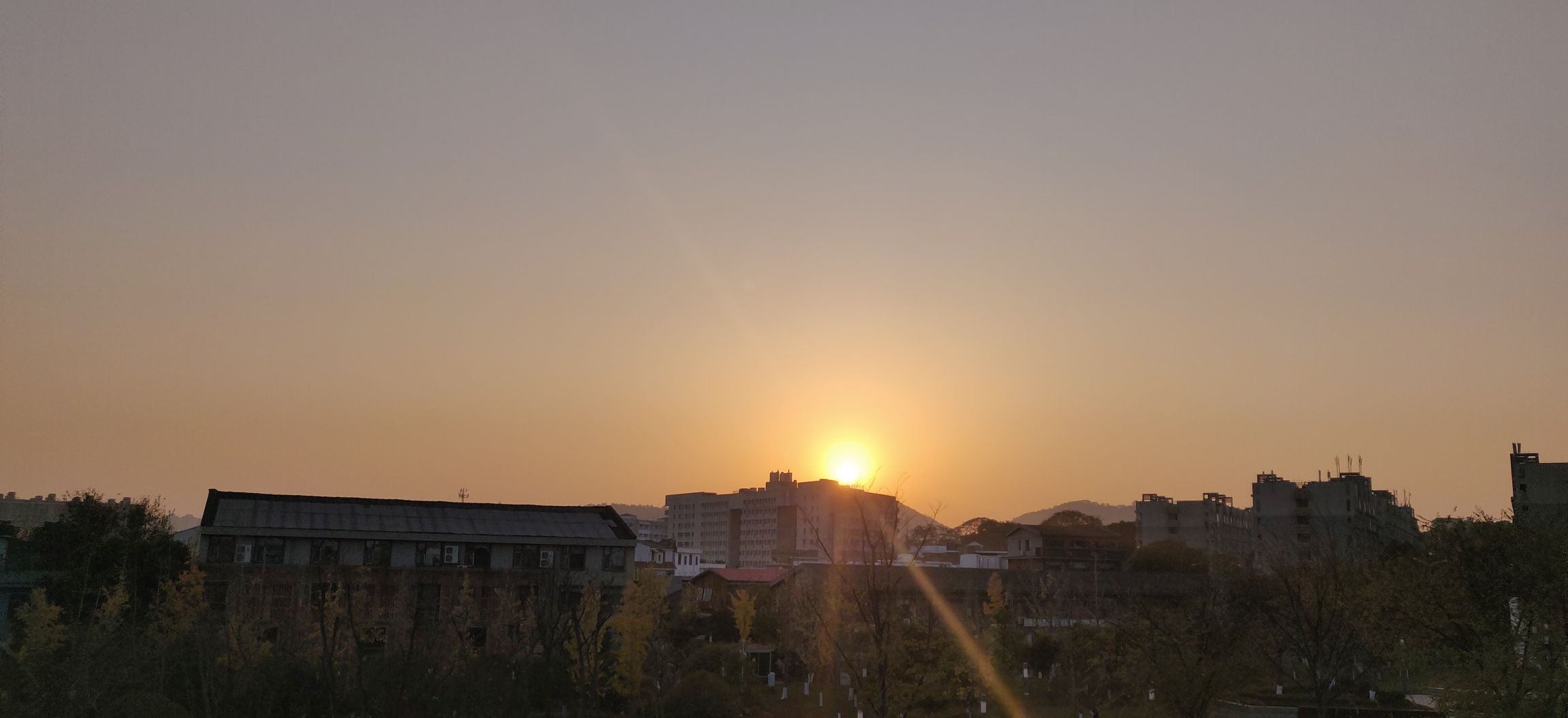 陶子湖广场旅行图片 2