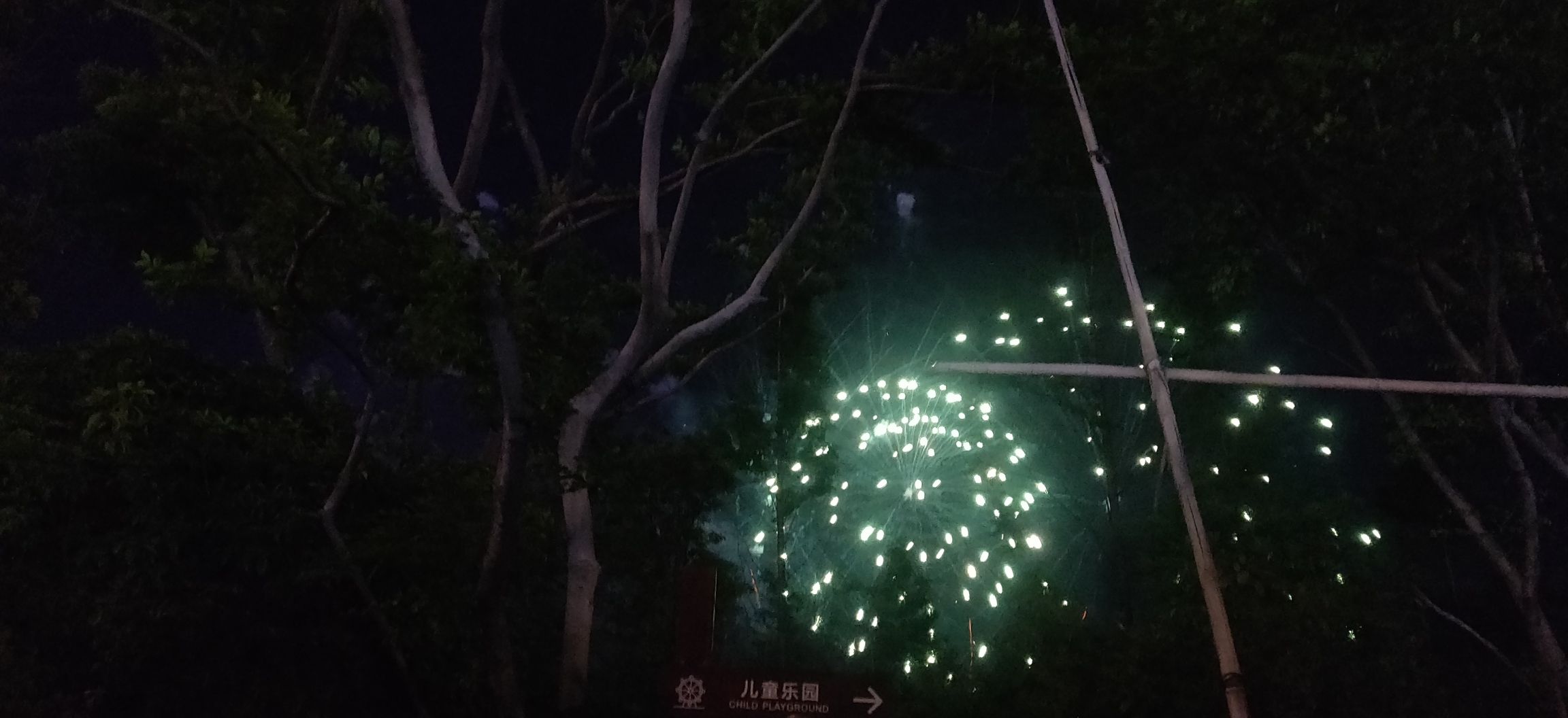 陶子湖广场旅行图片 1