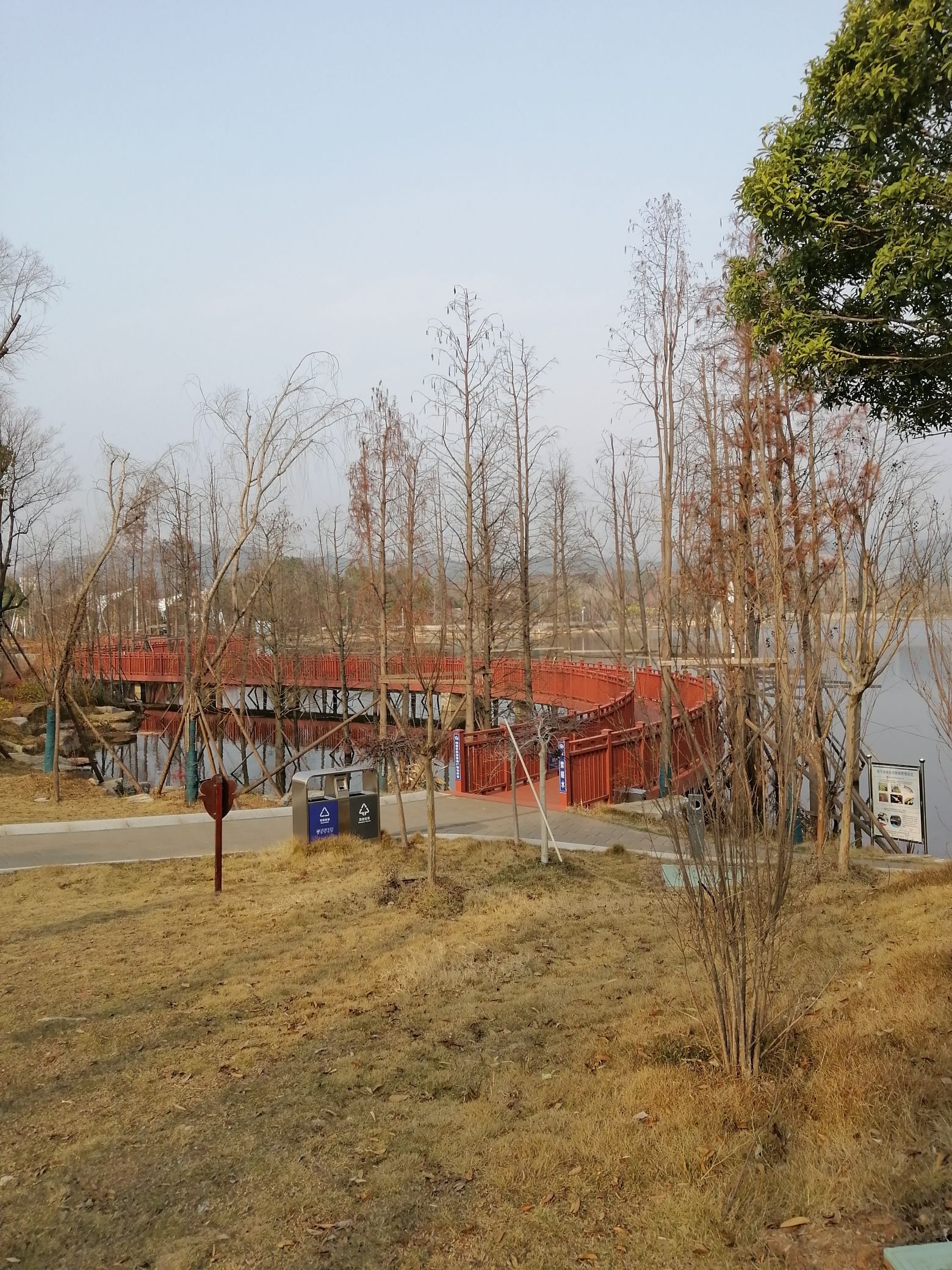 陶子湖广场旅行图片 1