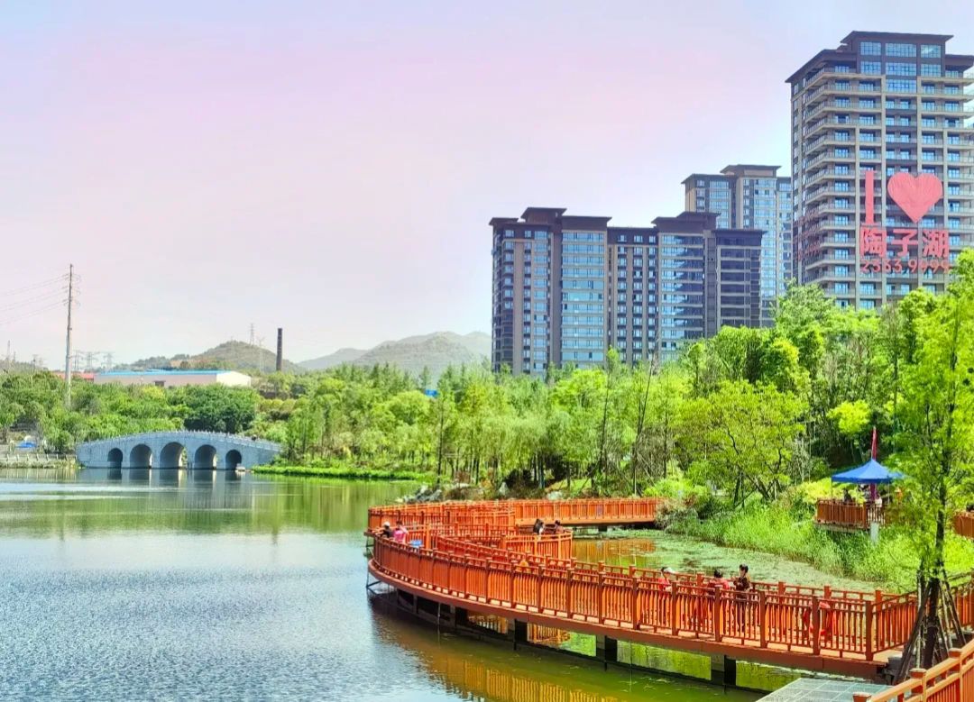 陶子湖广场旅行图片 1