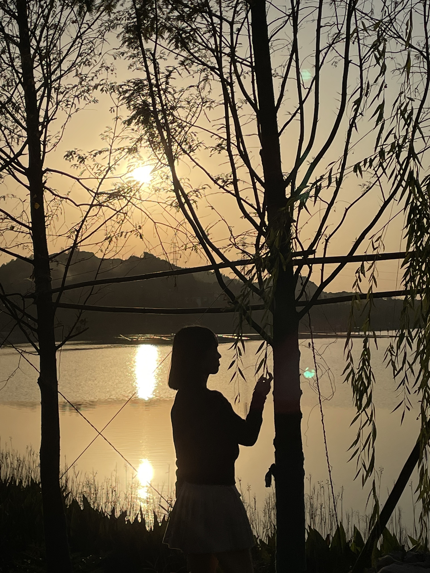 陶子湖广场旅行图片 1