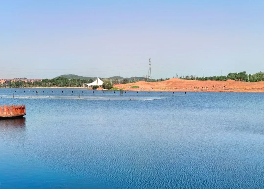 陶子湖广场旅行图片 3