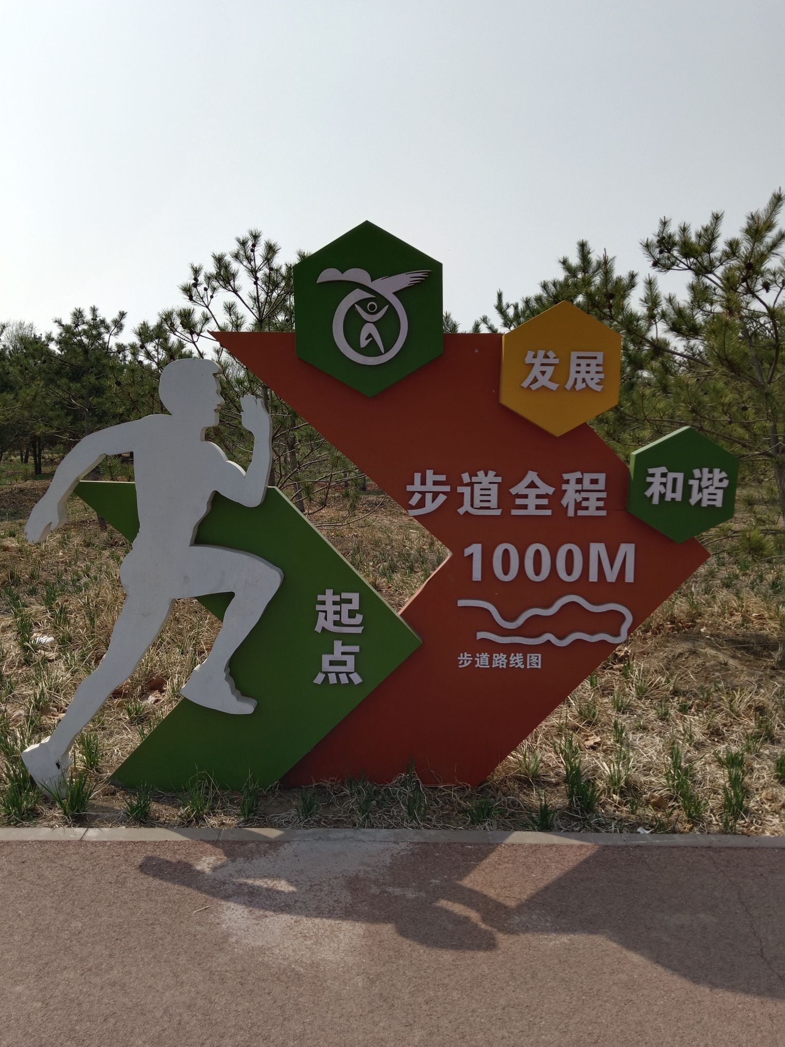 榆垡城市森林公园旅行图片 2