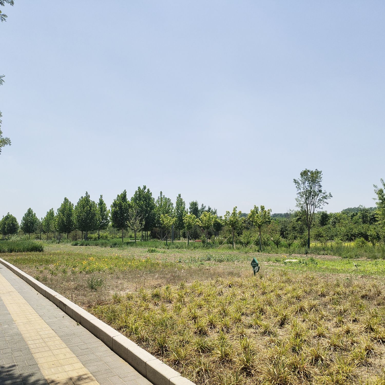 榆垡城市森林公园旅行图片 1