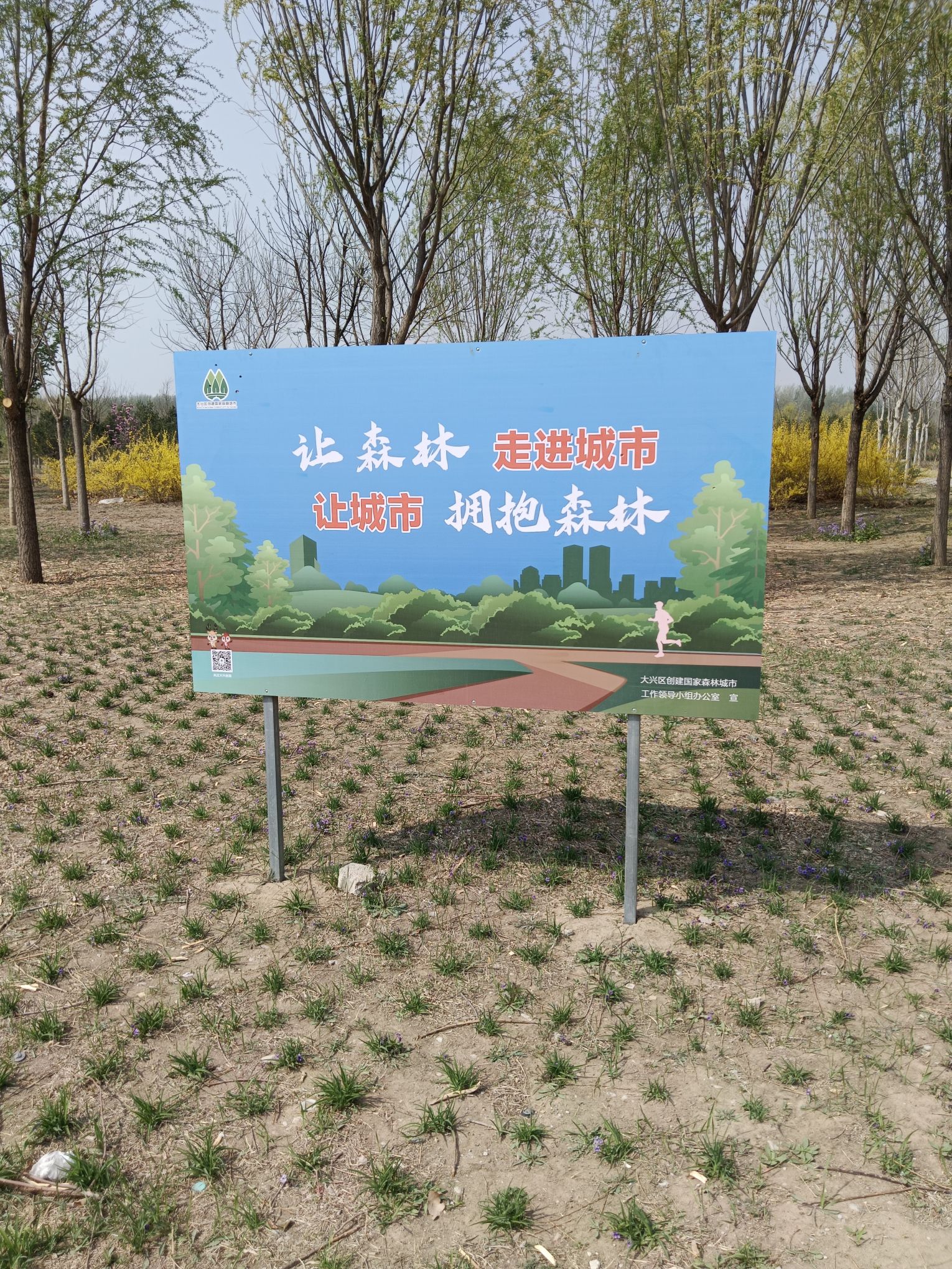 榆垡城市森林公园旅行图片 1