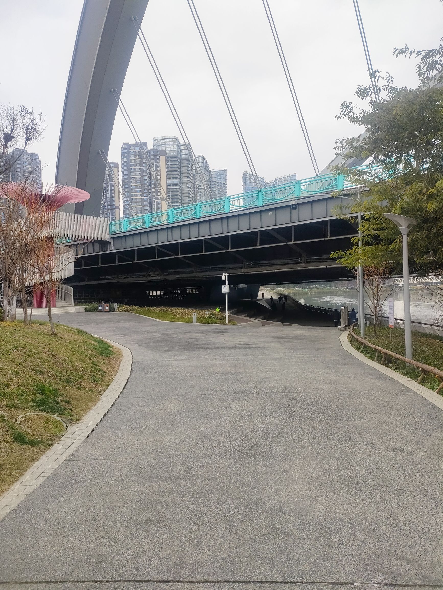 芙蓉岛公园旅行图片 1