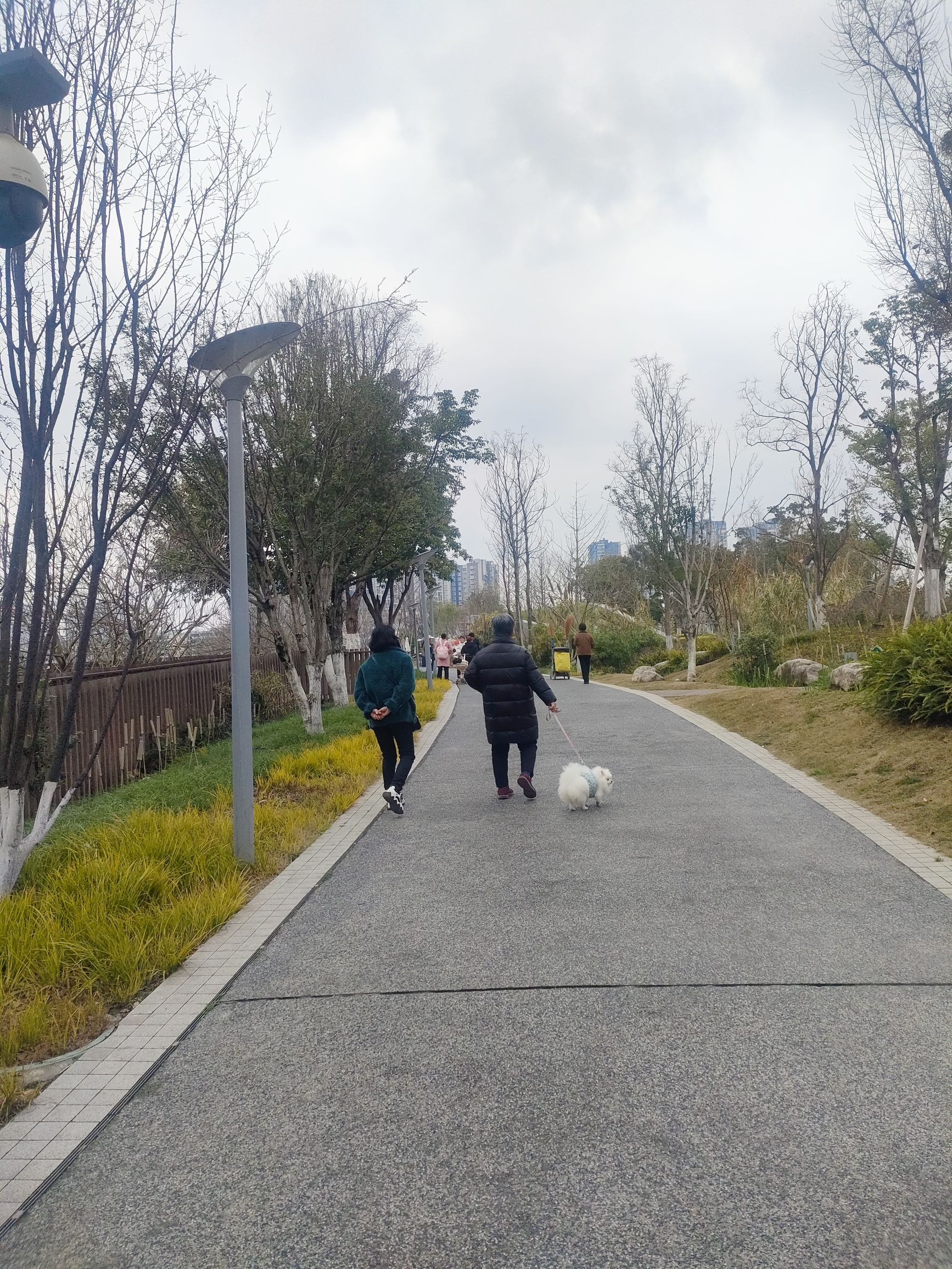 芙蓉岛公园旅行图片 2